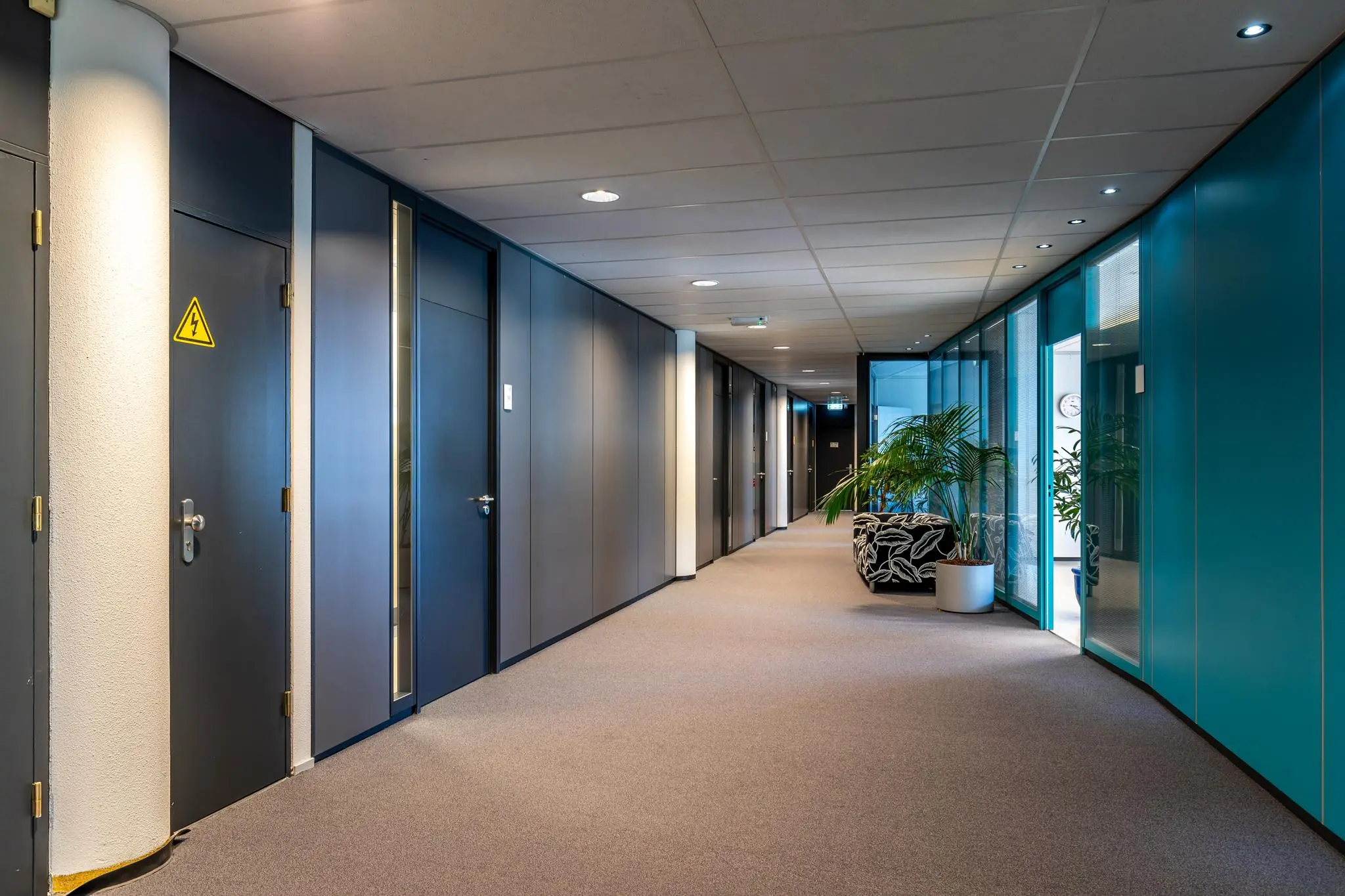 Moderne kantoorhal in het Euclideslaan-gebouw met blauwe wanden, donkere deuren, planten en vloerkleed.