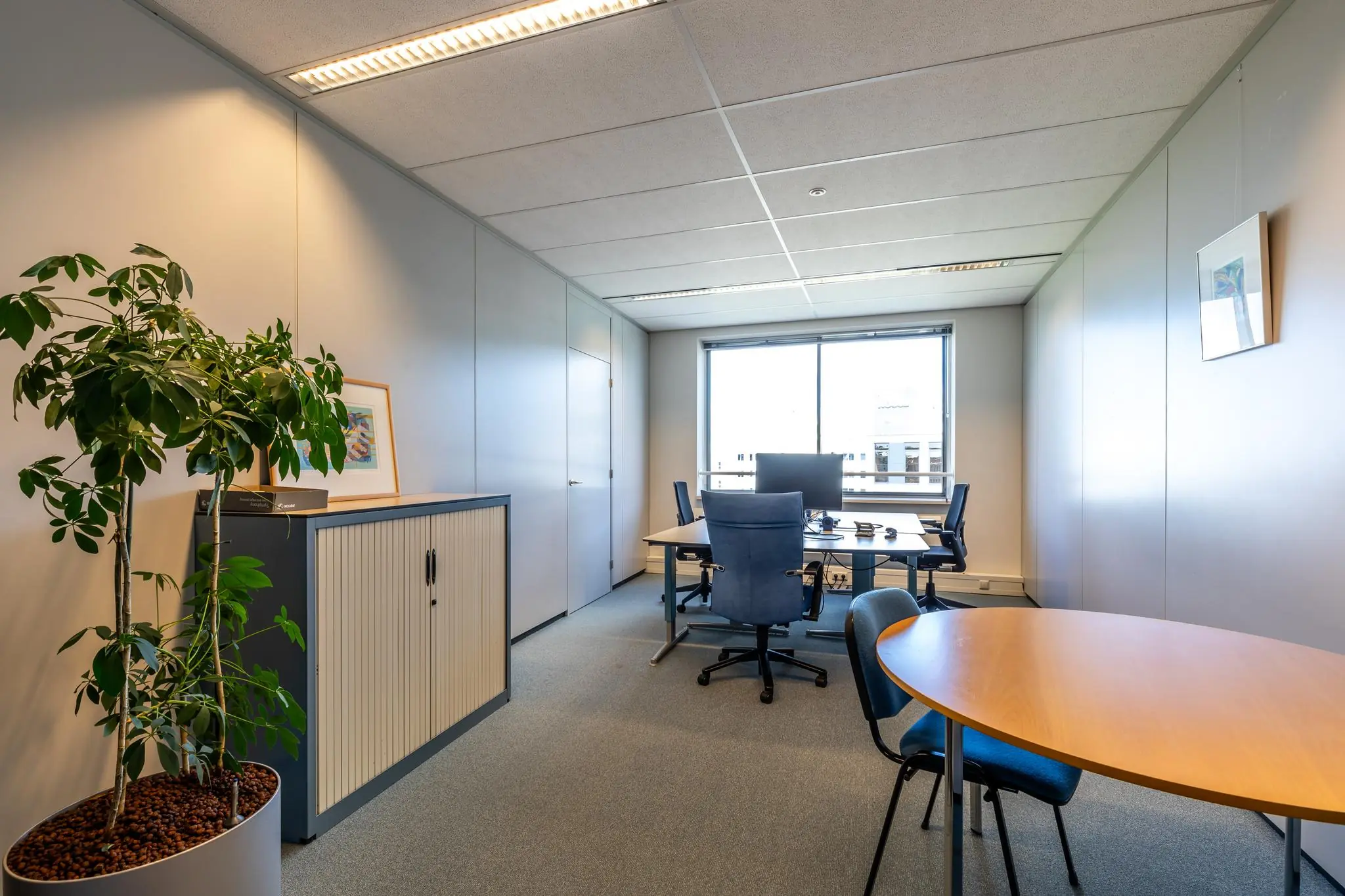 Moderne kantoorruimte aan de Euclideslaan met bureaus, stoelen, een ronde vergadertafel en een grote kamerplant.
