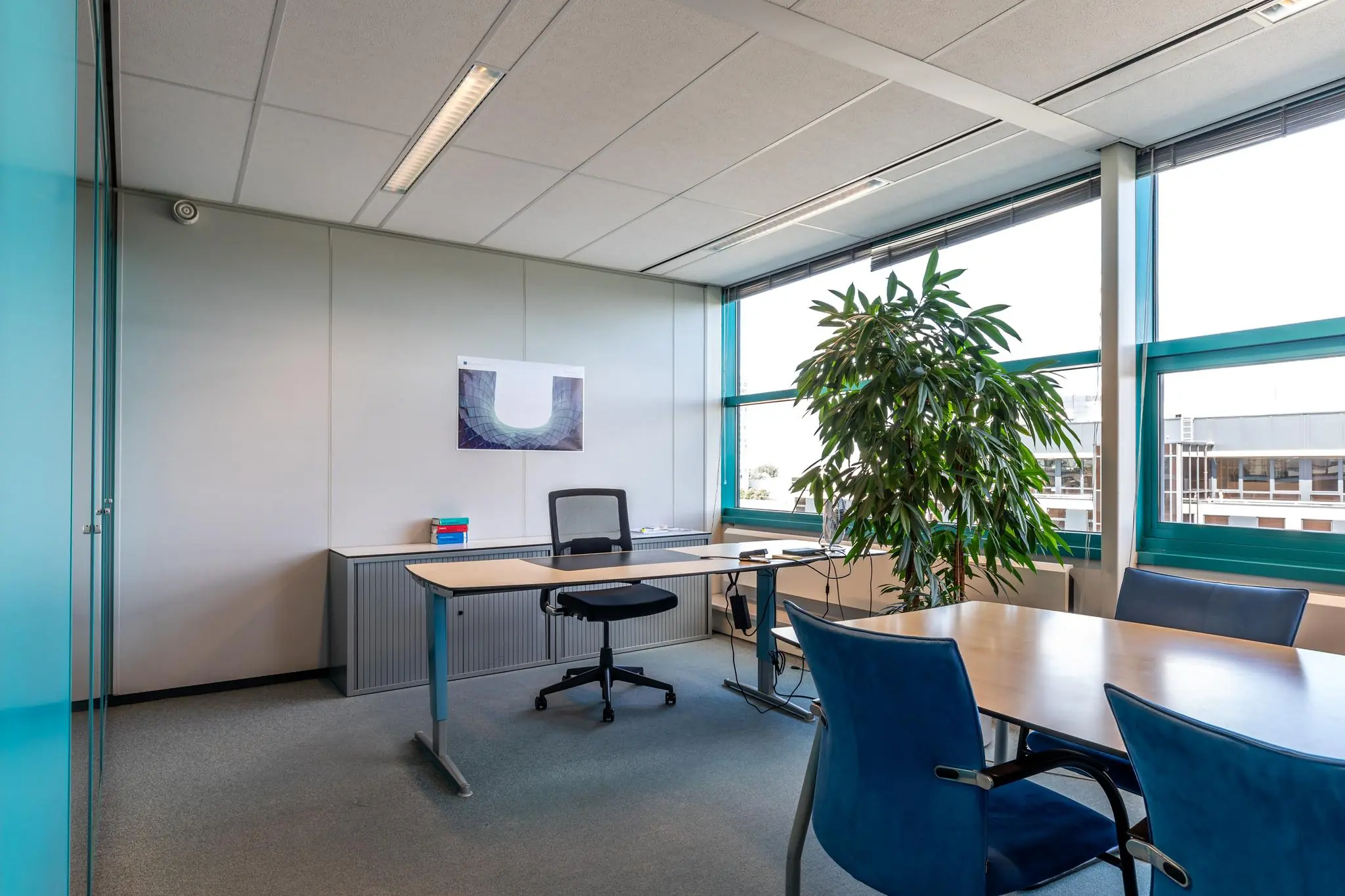 Modern kantoor met bureau, vergadertafel, grote plant en uitzicht op Euclideslaan.