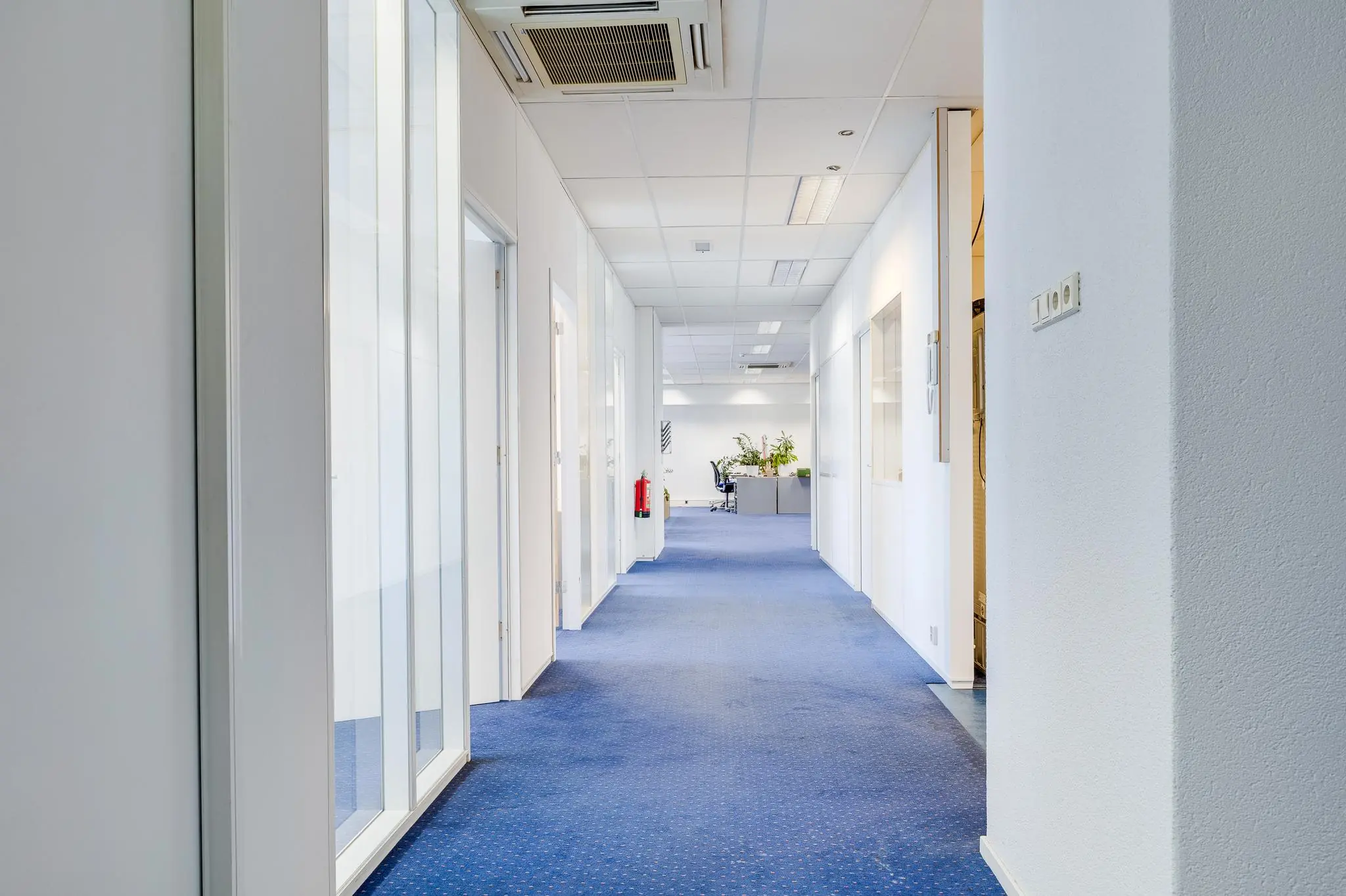 Heldere gang in een modern kantoorpand aan de Zonnebaan met blauwe vloerbedekking en witte wanden.