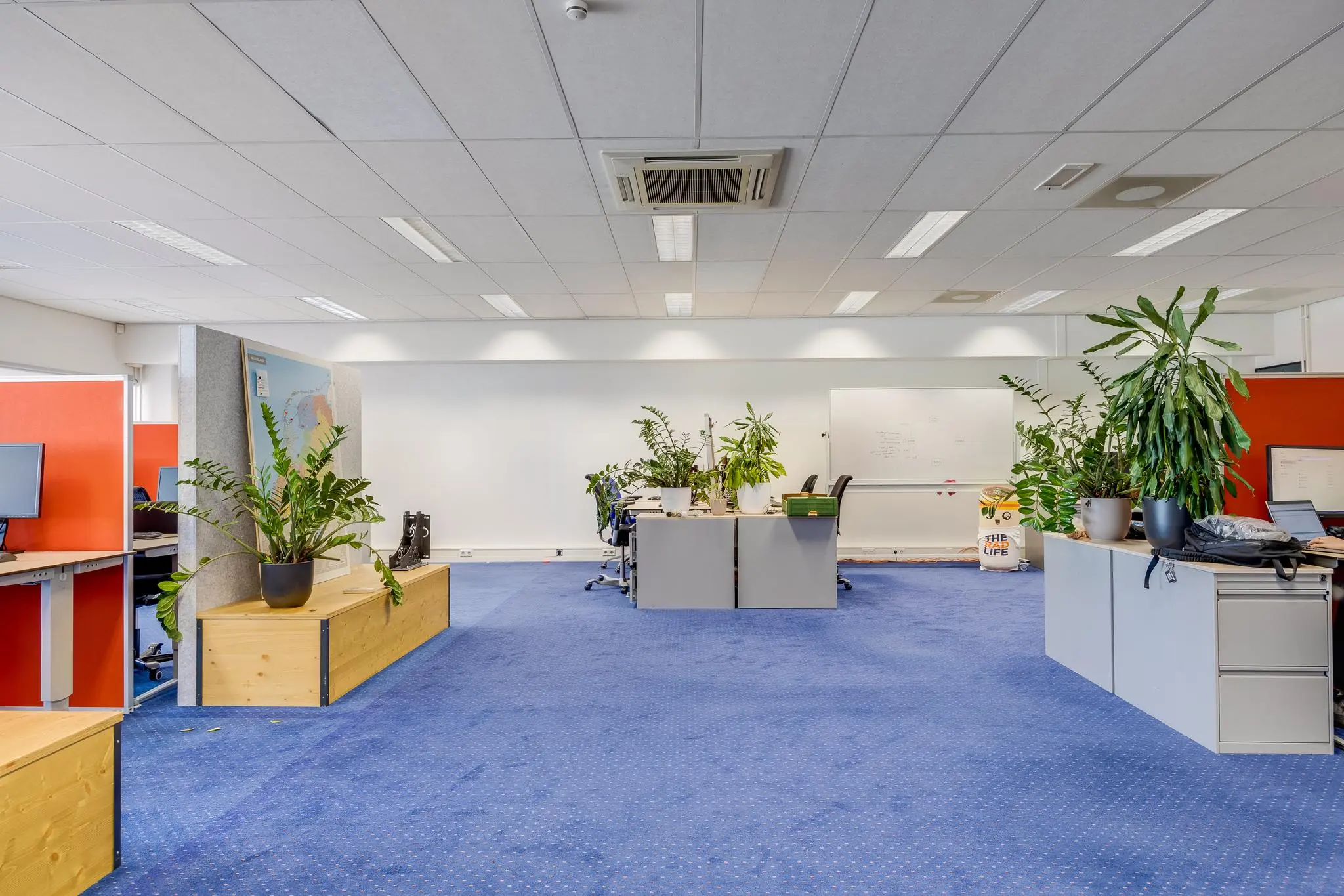 Ruim en licht kantoor aan de Zonnebaan met blauwe vloerbedekking, werkplekken, groene planten en een whiteboard aan de muur.