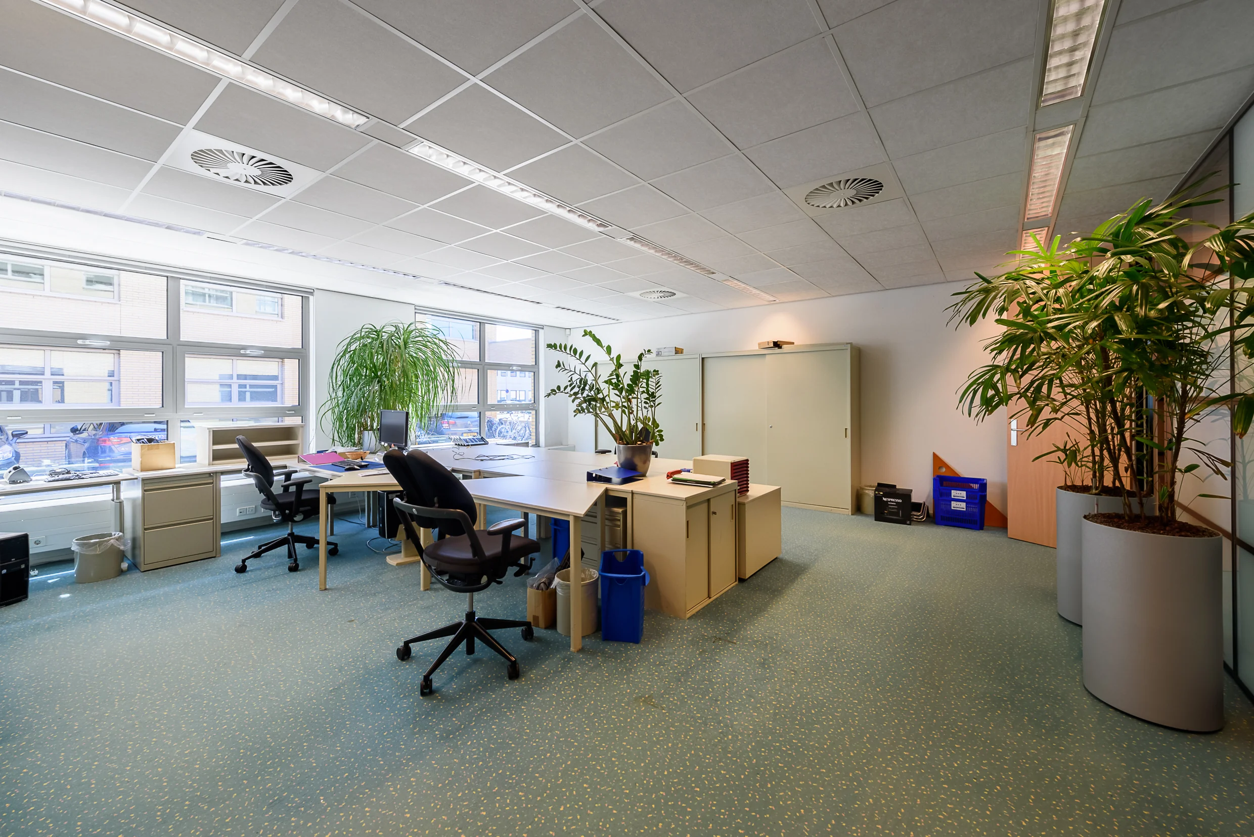 Modern kantoor in Capelle aan den IJssel met werkplekken, grote planten en veel daglicht.