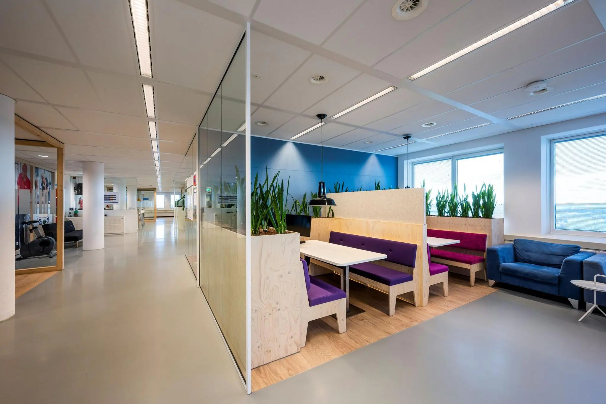 Modern kantoorinterieur aan de Watermanweg met kleurrijke zitbanken, glaswanden en veel natuurlijk licht.