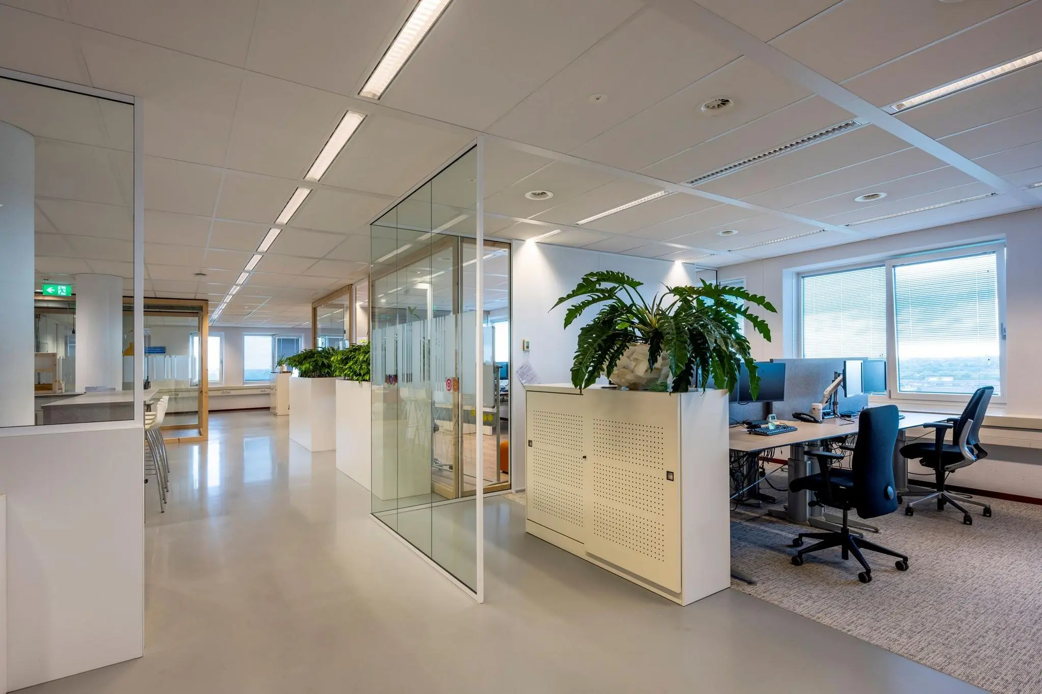 Modern kantoorinterieur aan de Watermanweg met flexplekken, glazen wanden en groene planten.