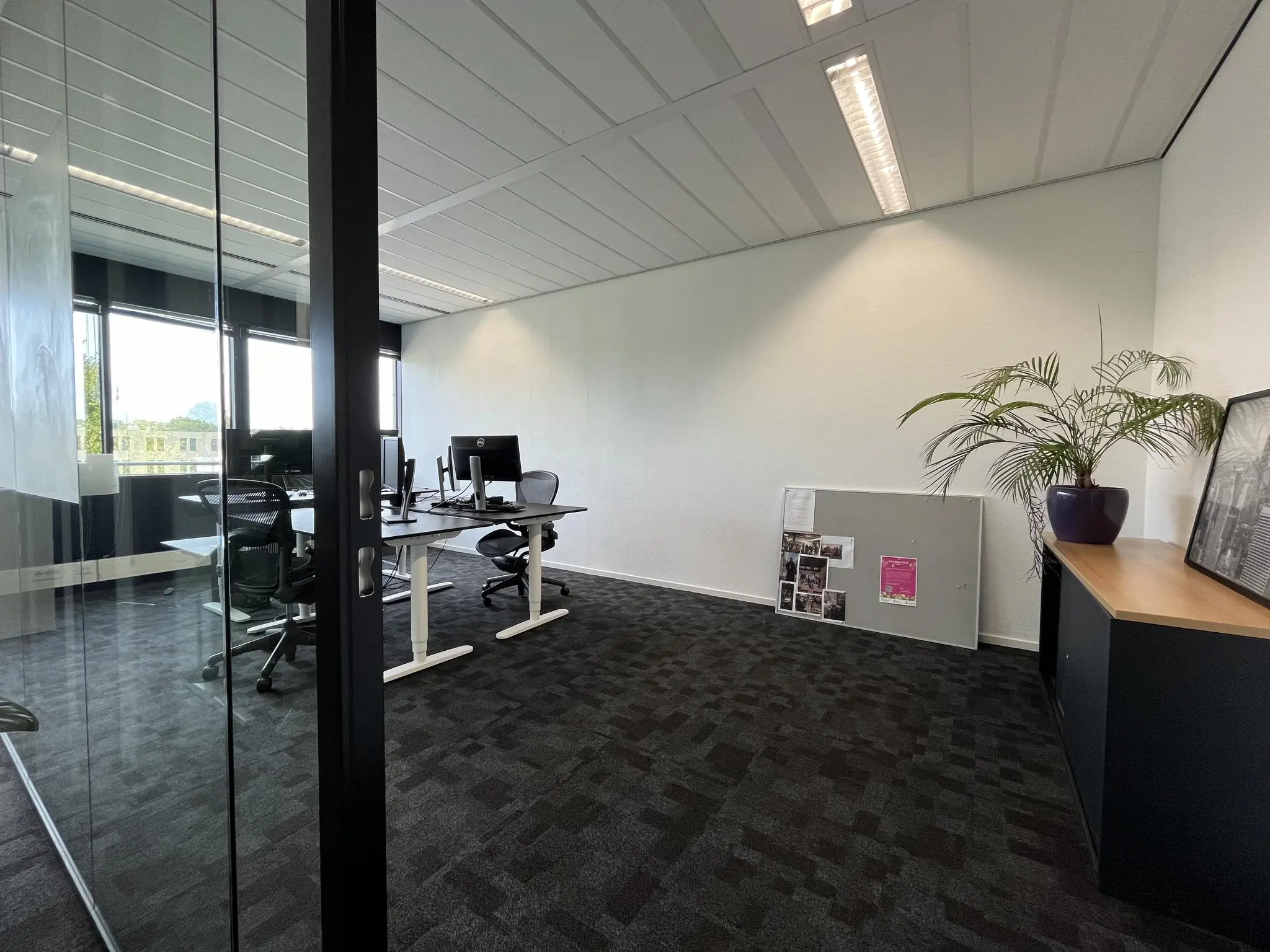 Modern kantoor met bureaus, computerschermen en een kast met plant in een ruimte aan de Wattbaan.