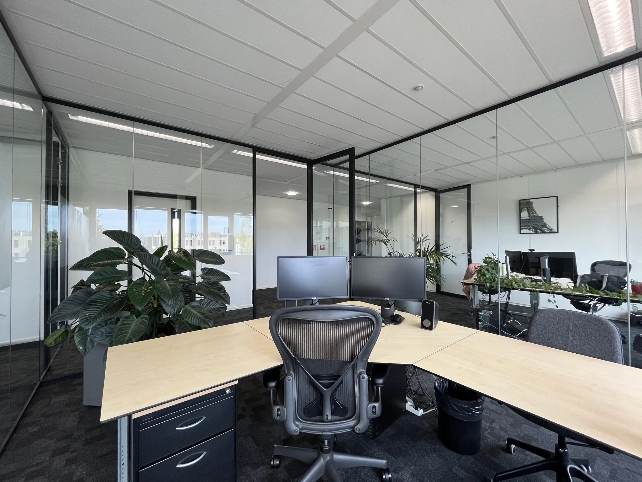 Modern kantoor met glazen wanden, bureaus met computerschermen en grote groene kamerplanten aan de Wattbaan.