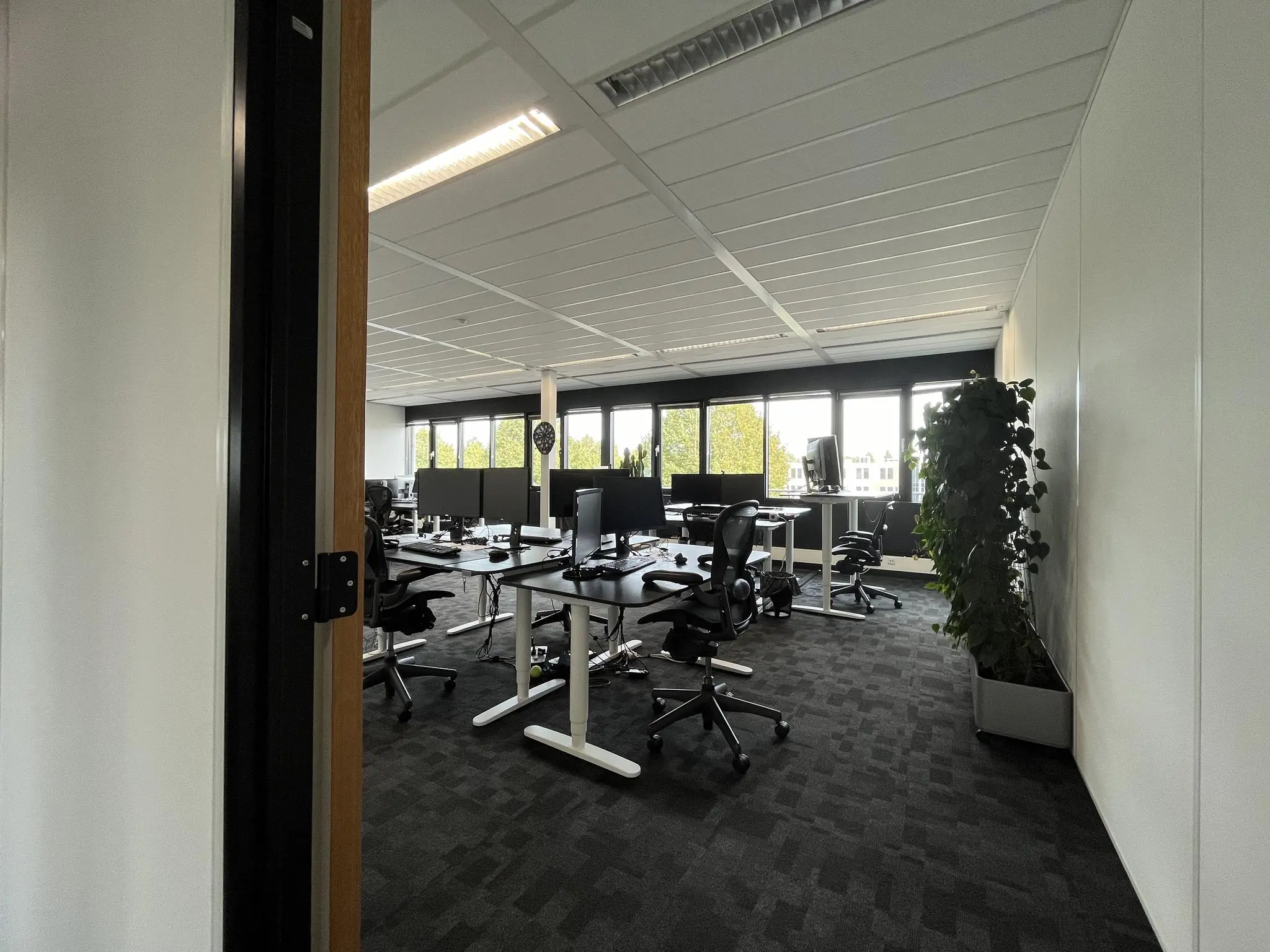 Modern kantoor aan de Wattbaan met bureaus, bureaustoelen en computers in een lichte ruimte met grote ramen.