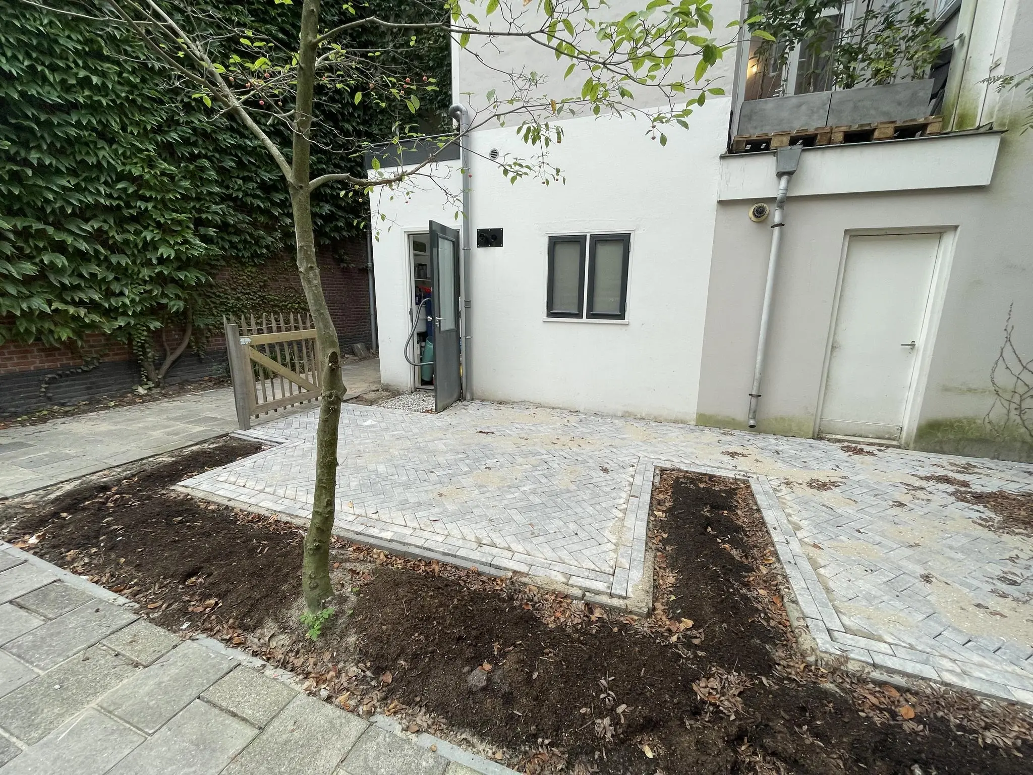 Voortuin met nieuwe bestrating en boom aan de Westerstraat, naast een wit gebouw met open deur.