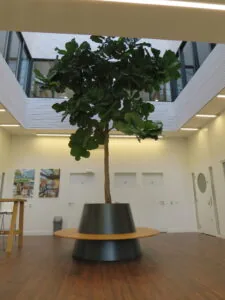Moderne kantoorruimte aan de Zekeringstraat 43 in Amsterdam met een grote binnentuinboom en zithoek in het midden van de hal.