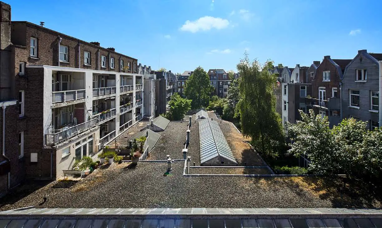 Uitzicht op de binnentuinen en achtergevels van woningen aan de Ruysdaelkade op een zonnige dag.