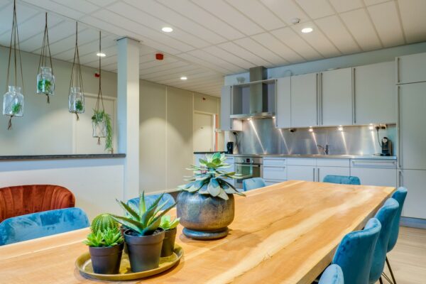 Moderne, lichte keuken met houten eettafel, blauwe stoelen en diverse planten als decoratie.