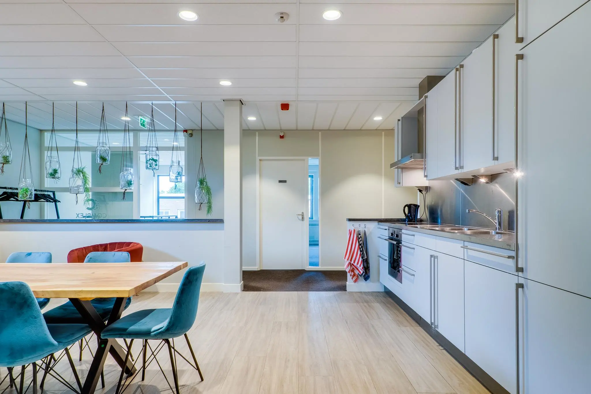 Moderne gedeelde keuken met eettafel, strakke witte kasten en hangende planten aan de Kanaalweg.