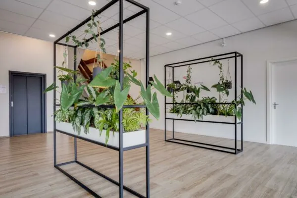 Moderne wachtruimte met houten vloer en grote zwarte plantenrekken gevuld met groene kamerplanten.