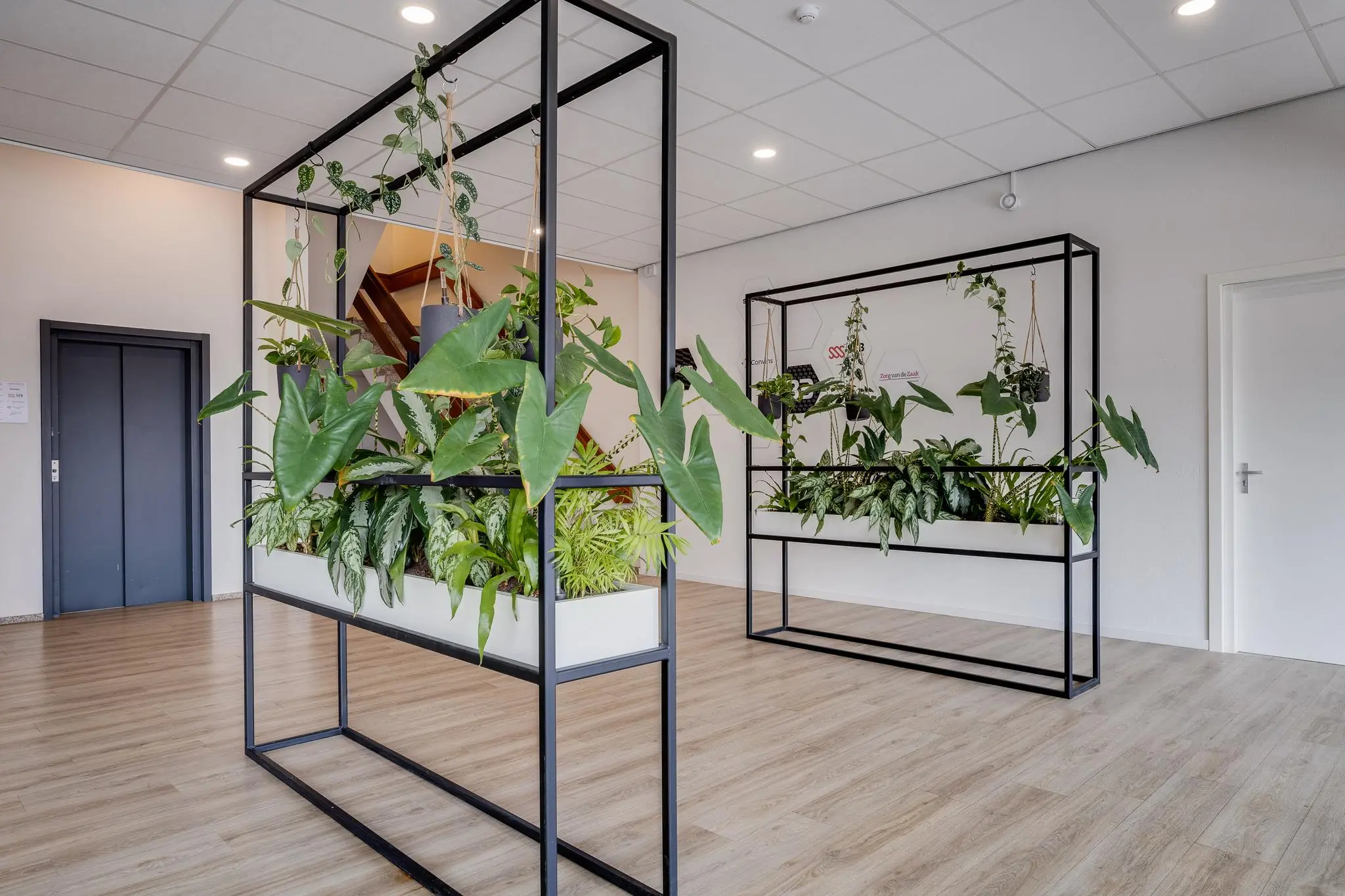 Moderne wachtruimte met houten vloer en grote zwarte plantenrekken gevuld met groene kamerplanten.