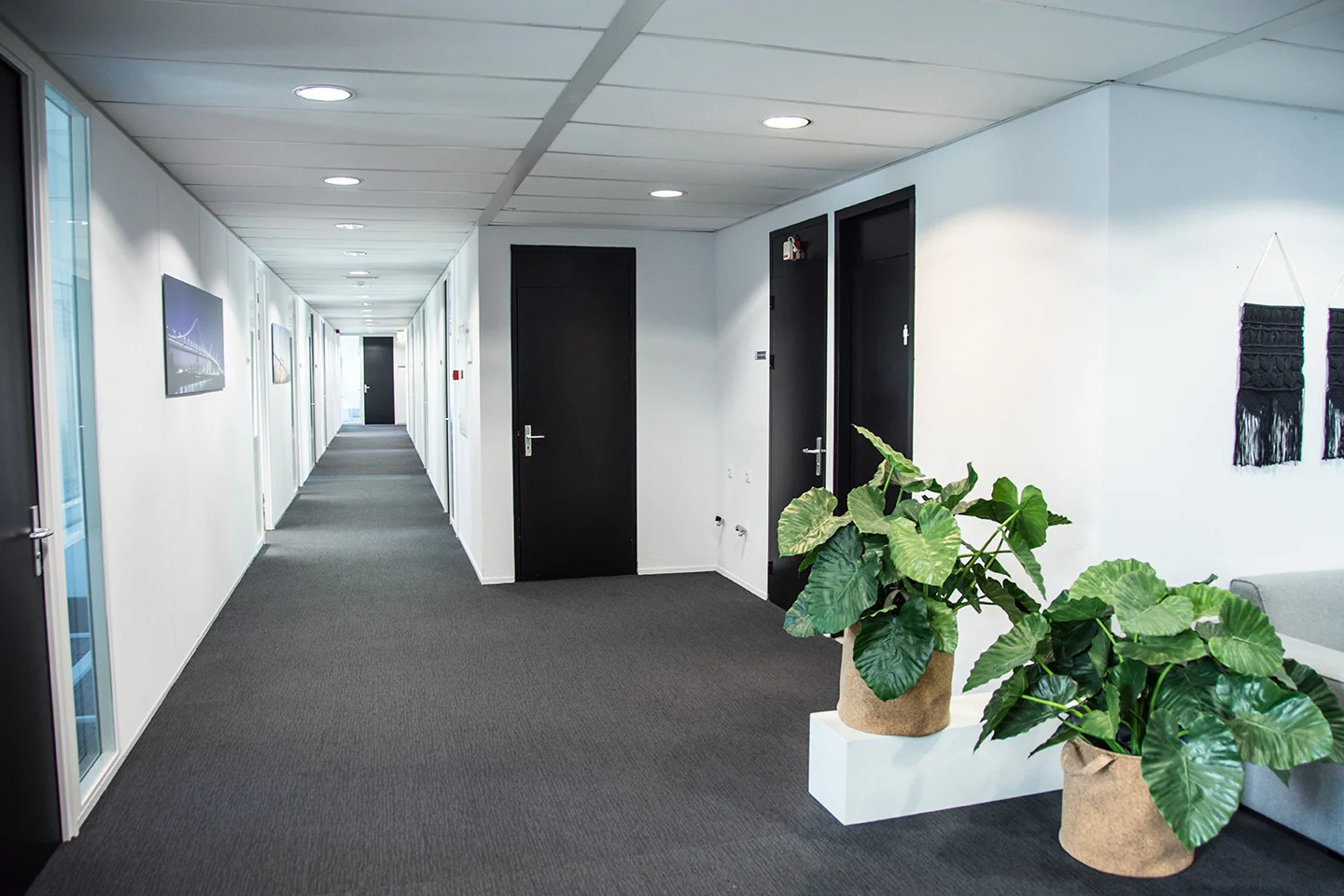 Moderne, strak ingerichte kantoorhal aan de Meidoornkade met zwarte deuren, kunst aan de muur en grote groene planten.
