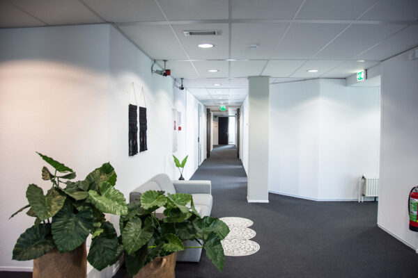 Moderne binnengang aan de Meidoornkade met witte muren, grijze vloerbedekking, planten, zitbank en wanddecoratie.
