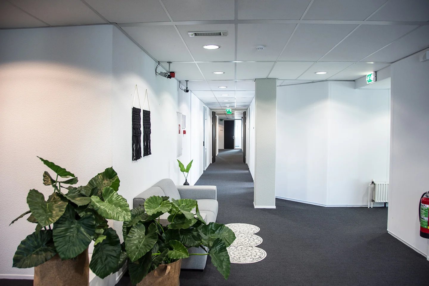Moderne binnengang aan de Meidoornkade met witte muren, grijze vloerbedekking, planten, zitbank en wanddecoratie.
