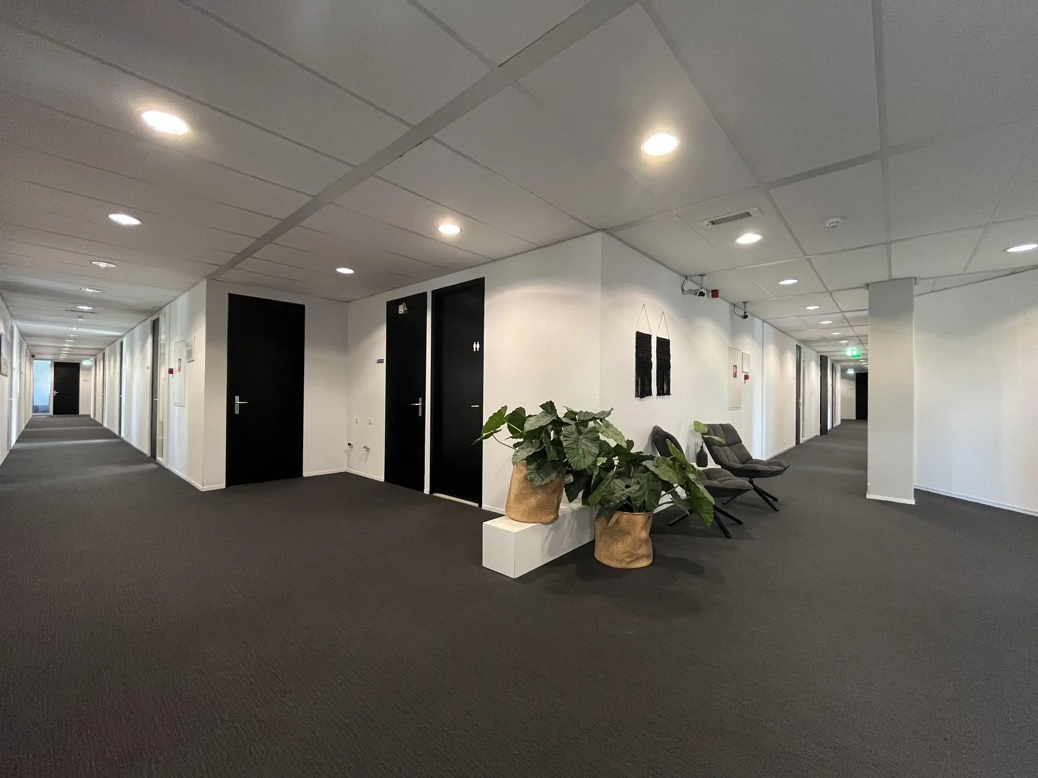 Moderne en strak ingerichte gang in een kantoorpand aan de Meidoornkade, met zwarte deuren, planten en wachtruimte met stoelen.