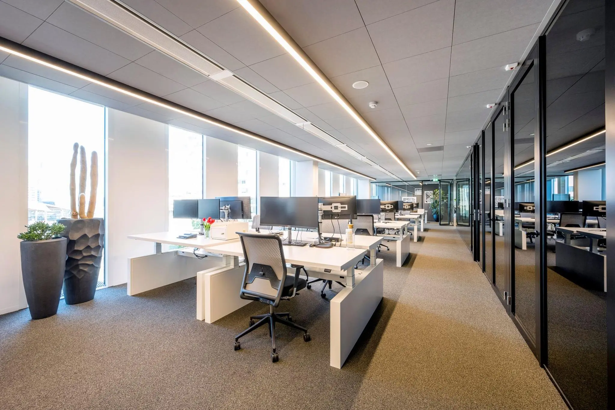 Modern kantoorinterieur in Hoekenrode met open werkplekken, glazen wanden en hoge ramen.