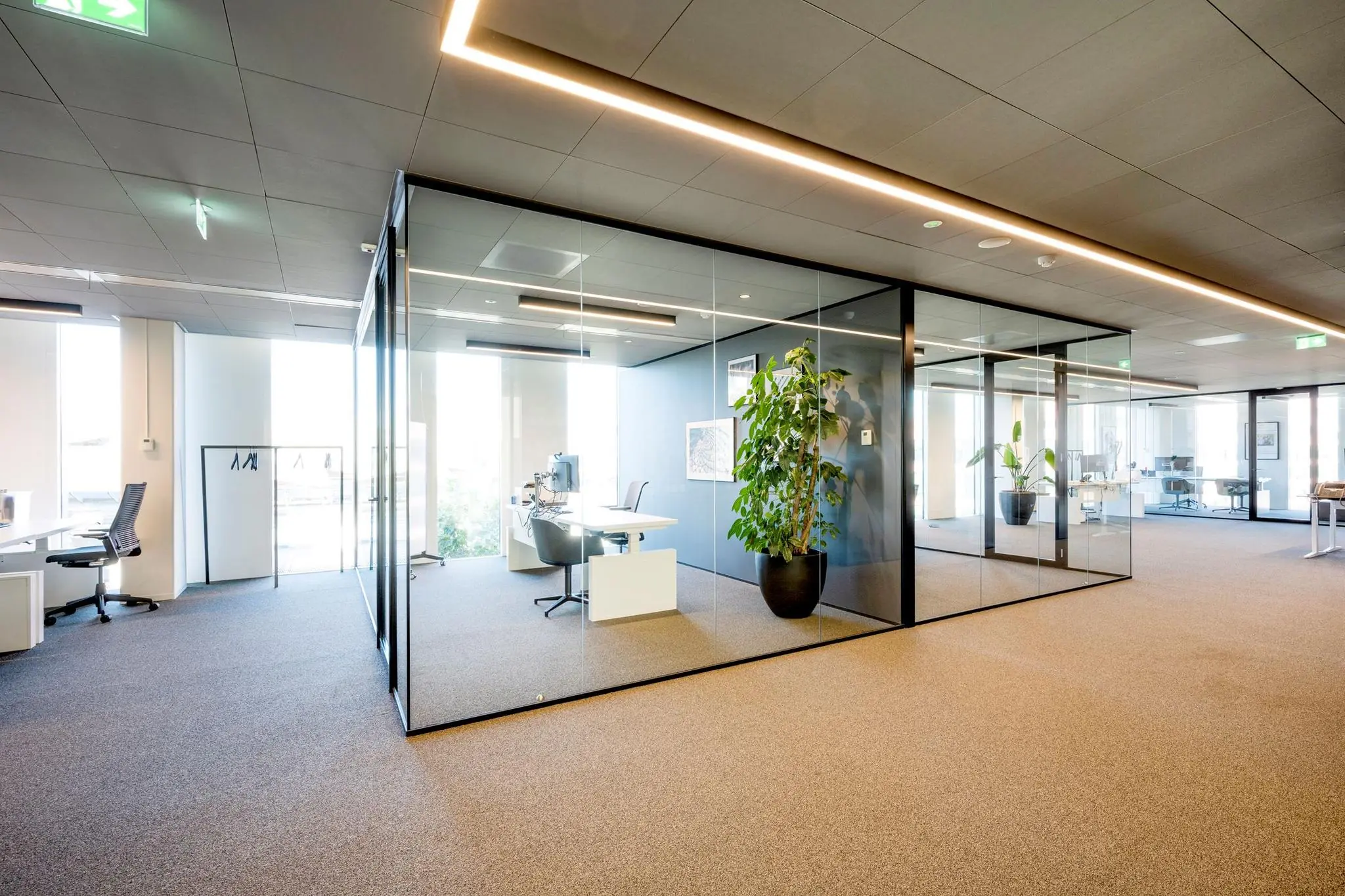 Modern kantoorinterieur in Hoekenrode met glazen vergaderruimtes en strakke inrichting.