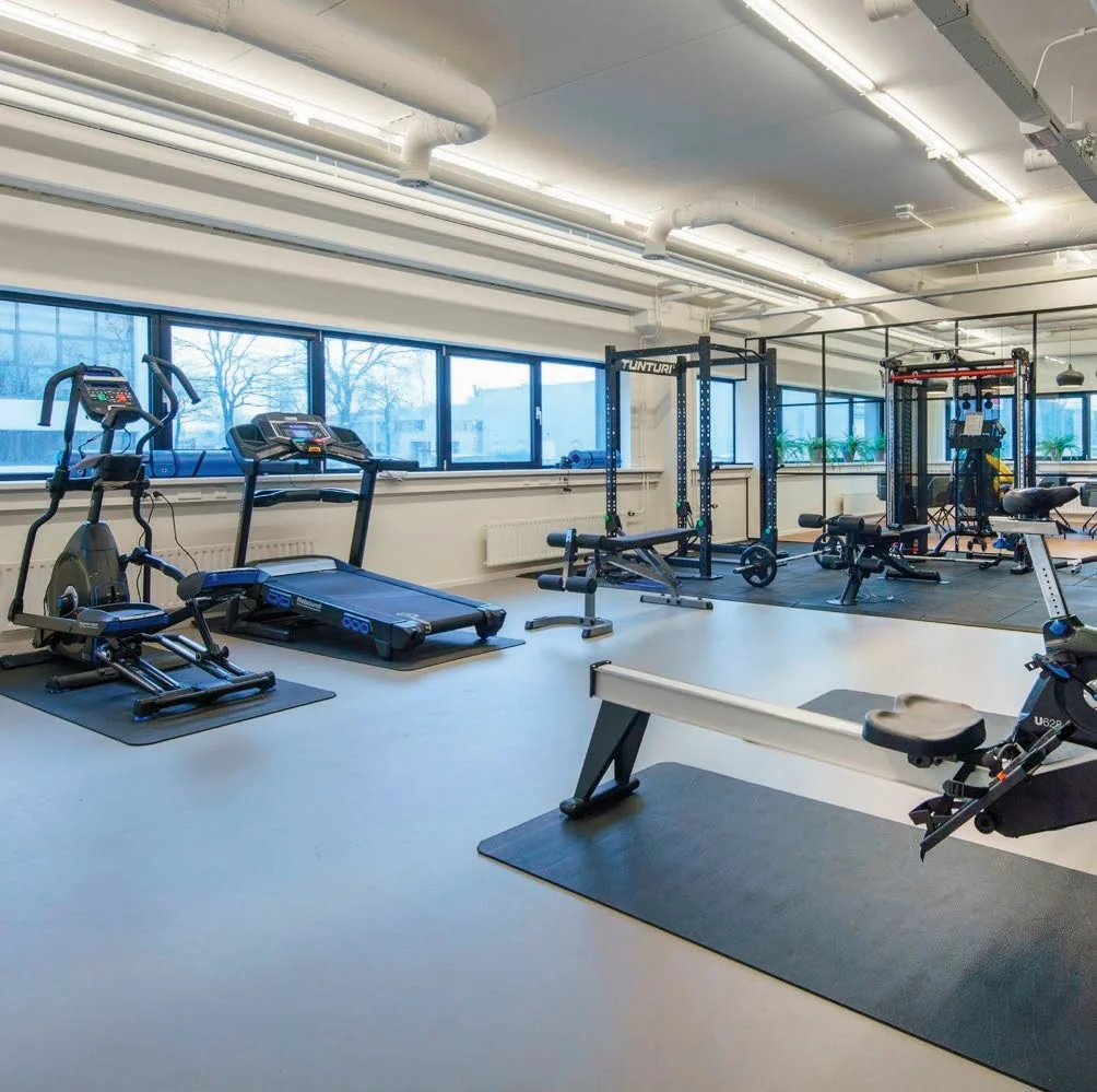 Modern gym space on Rietbaan with cardio machines, weightlifting equipment, and large windows for natural light.