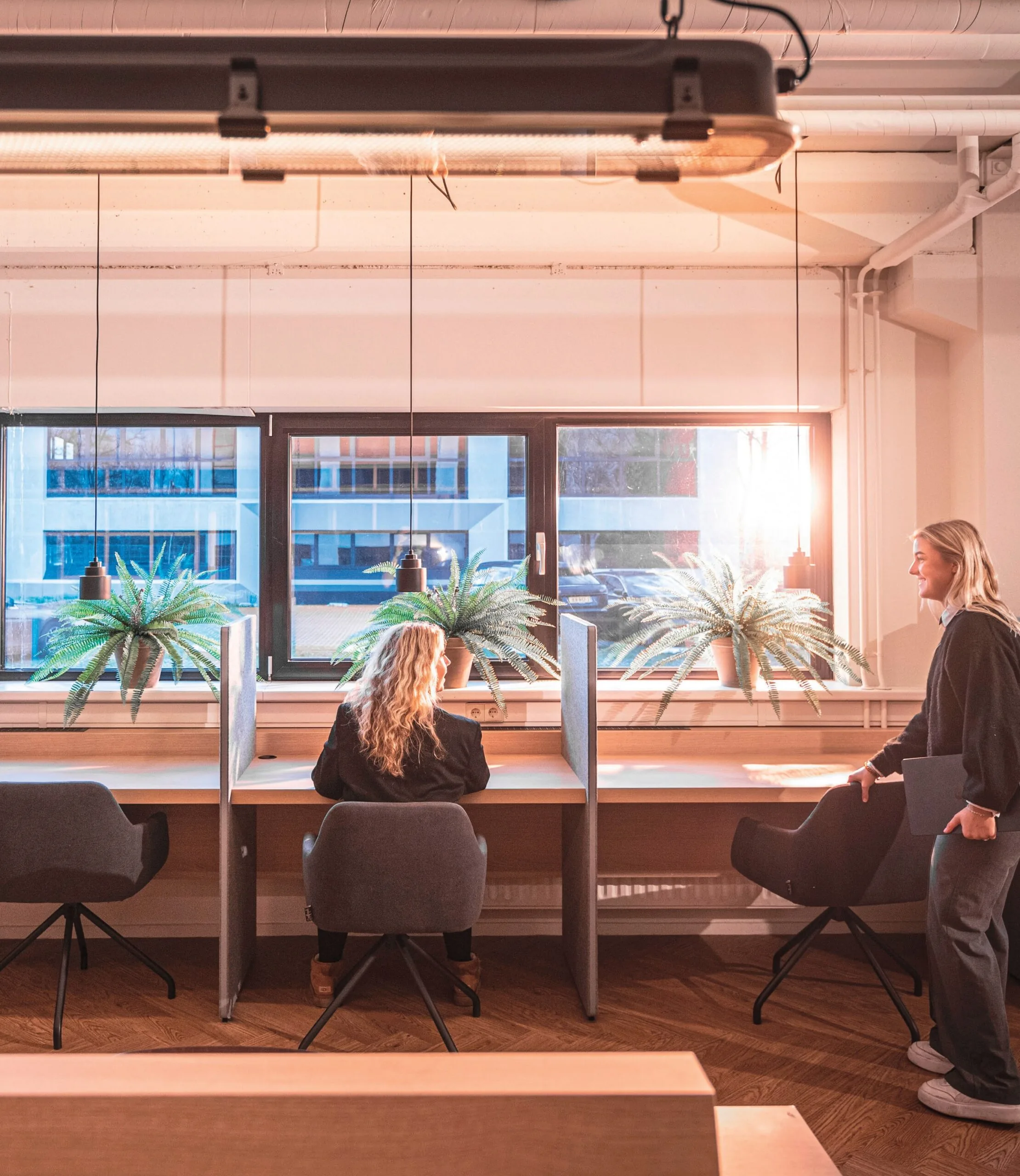 Two women in a bright, modern office space at Rietbaan, working at desks separated by partitions with potted plants on the windowsill.