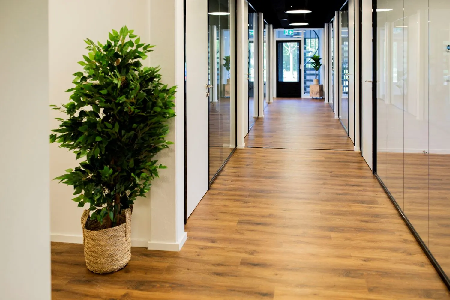 Moderne kantoorhal op de Rietbaan met houten vloer, glazen wanden en een grote plant in een rieten mand.