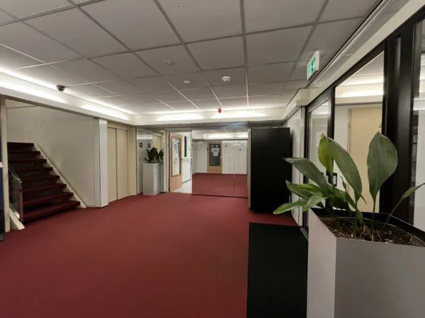 Hal met rode vloerbedekking, witte plafonds, kantoorplanten en een trap links in een bedrijfsgebouw aan de Industrieweg.