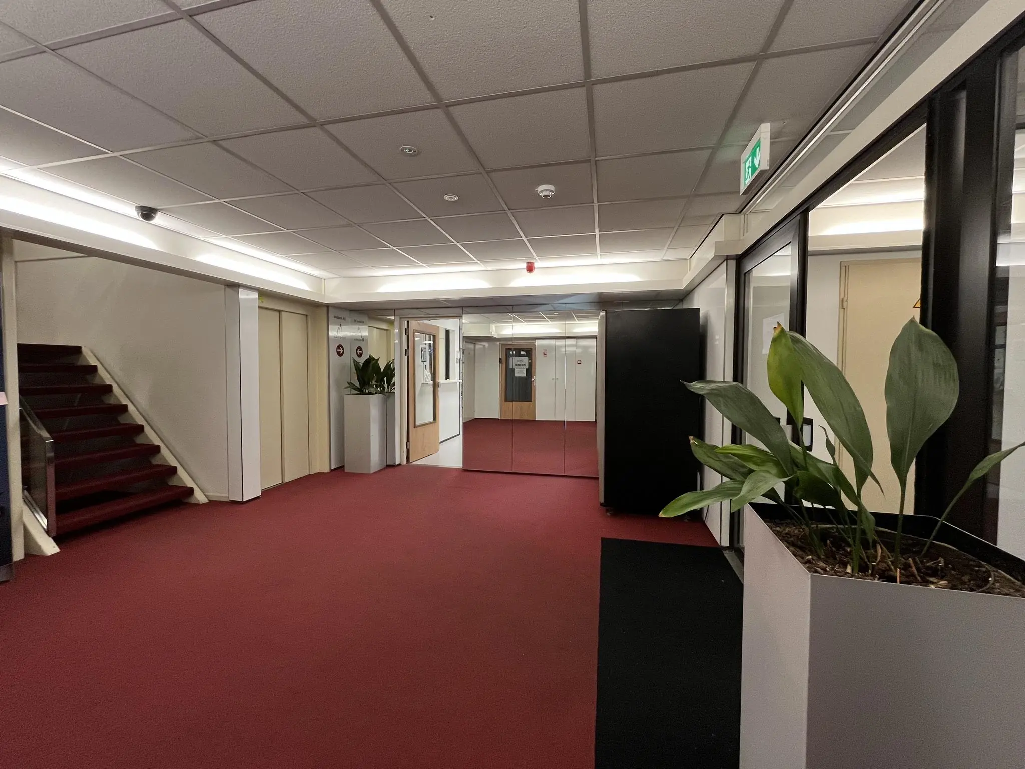 Hal met rode vloerbedekking, witte plafonds, kantoorplanten en een trap links in een bedrijfsgebouw aan de Industrieweg.