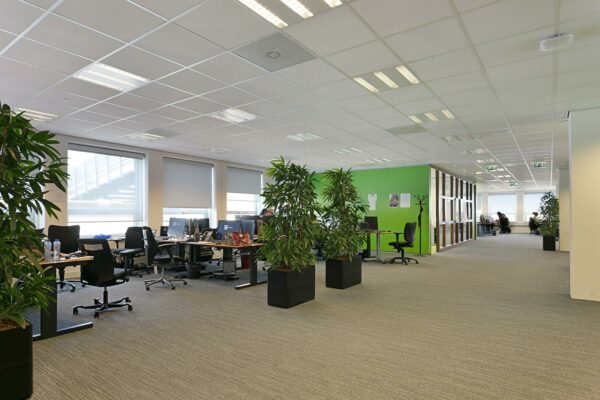 Moderne open kantoorruimte aan de Dynamostraat met bureaus, computers, groene planten en een opvallende groene muur.