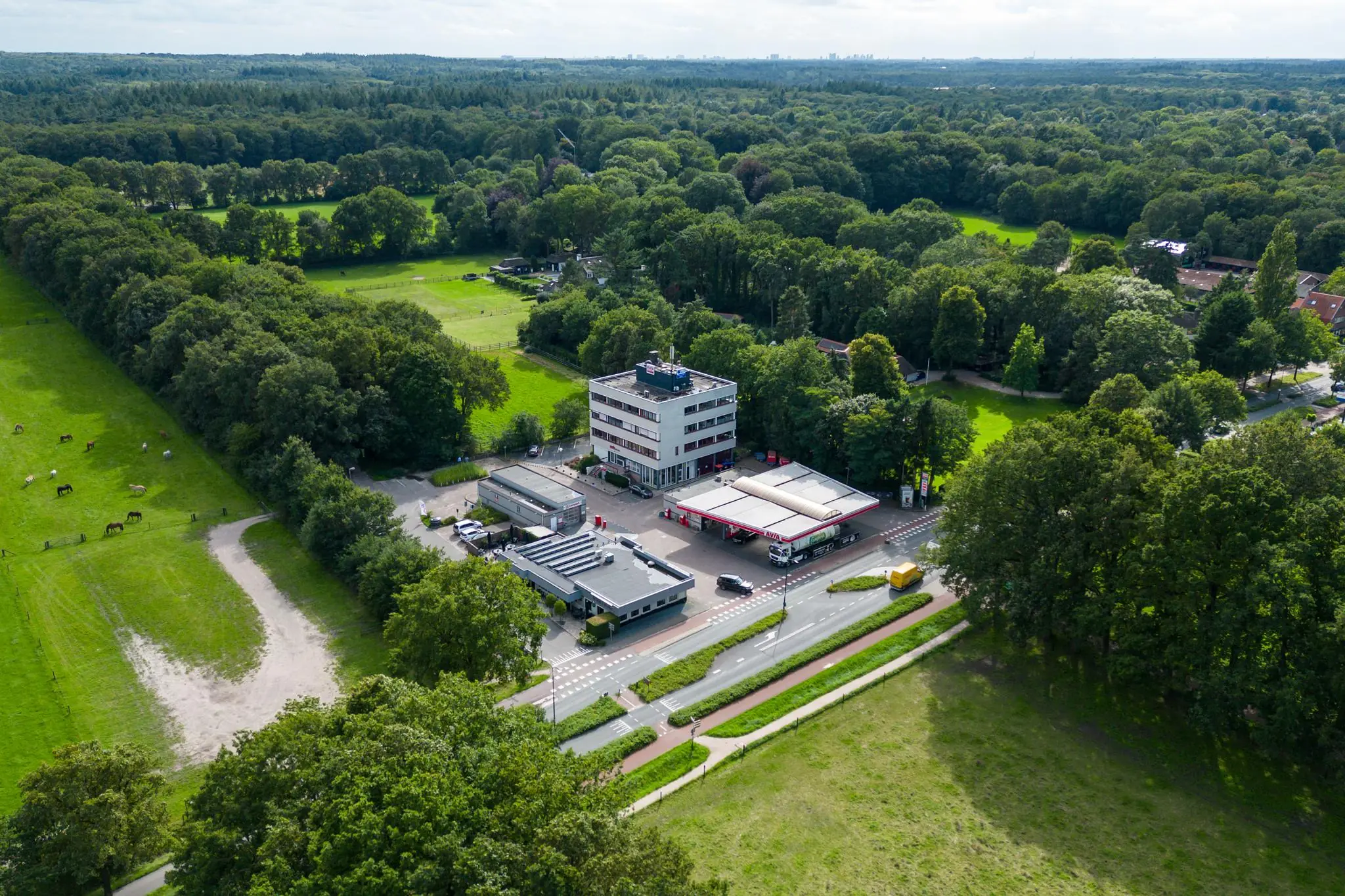 Luchtfoto van een gebouw met tankstation aan de Birkstraat, omringd door bos en weilanden met grazende paarden.