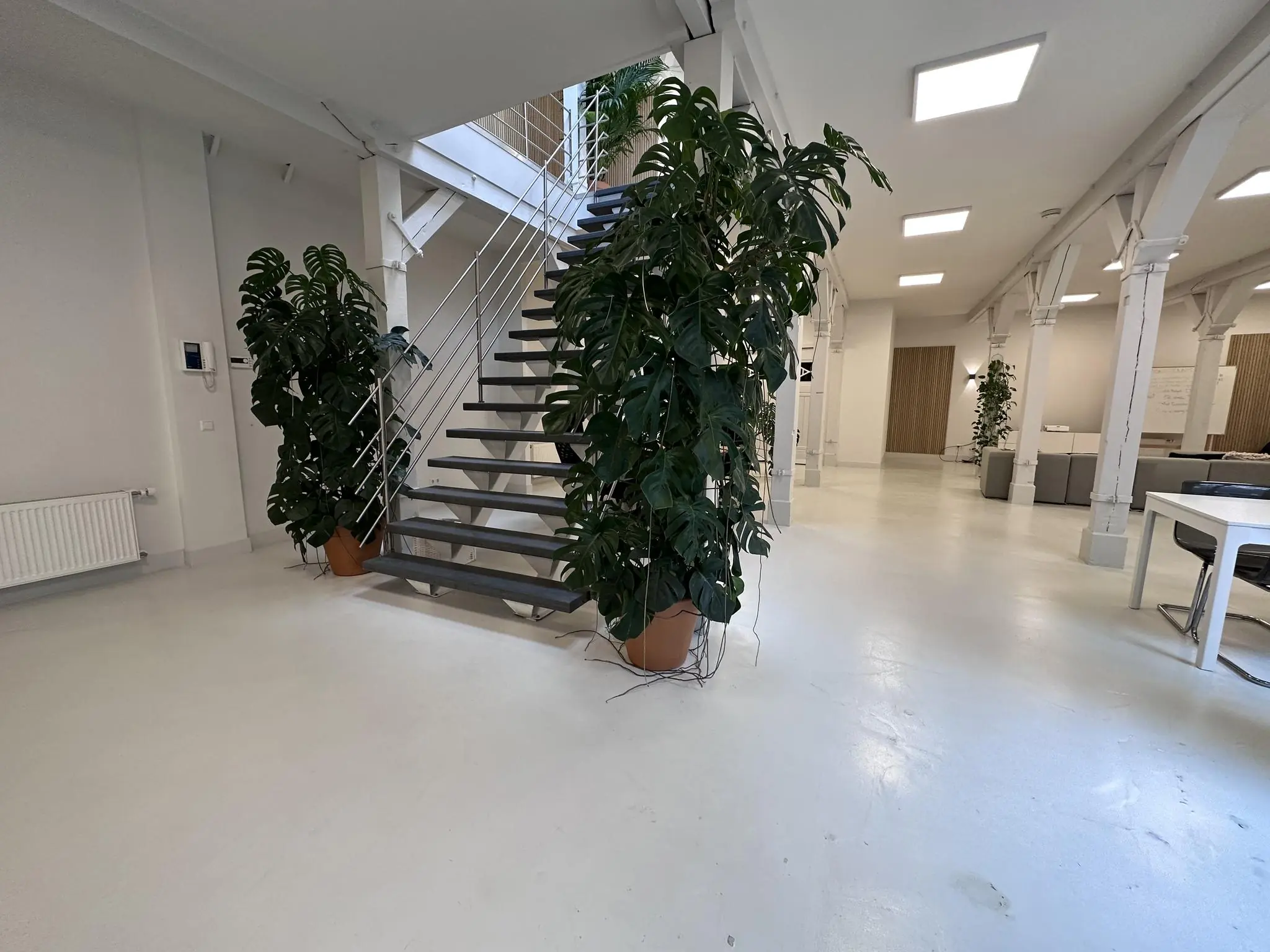 Moderne, lichte kantoorruimte aan de Bloemgracht met een industriële trap en grote groene kamerplanten.