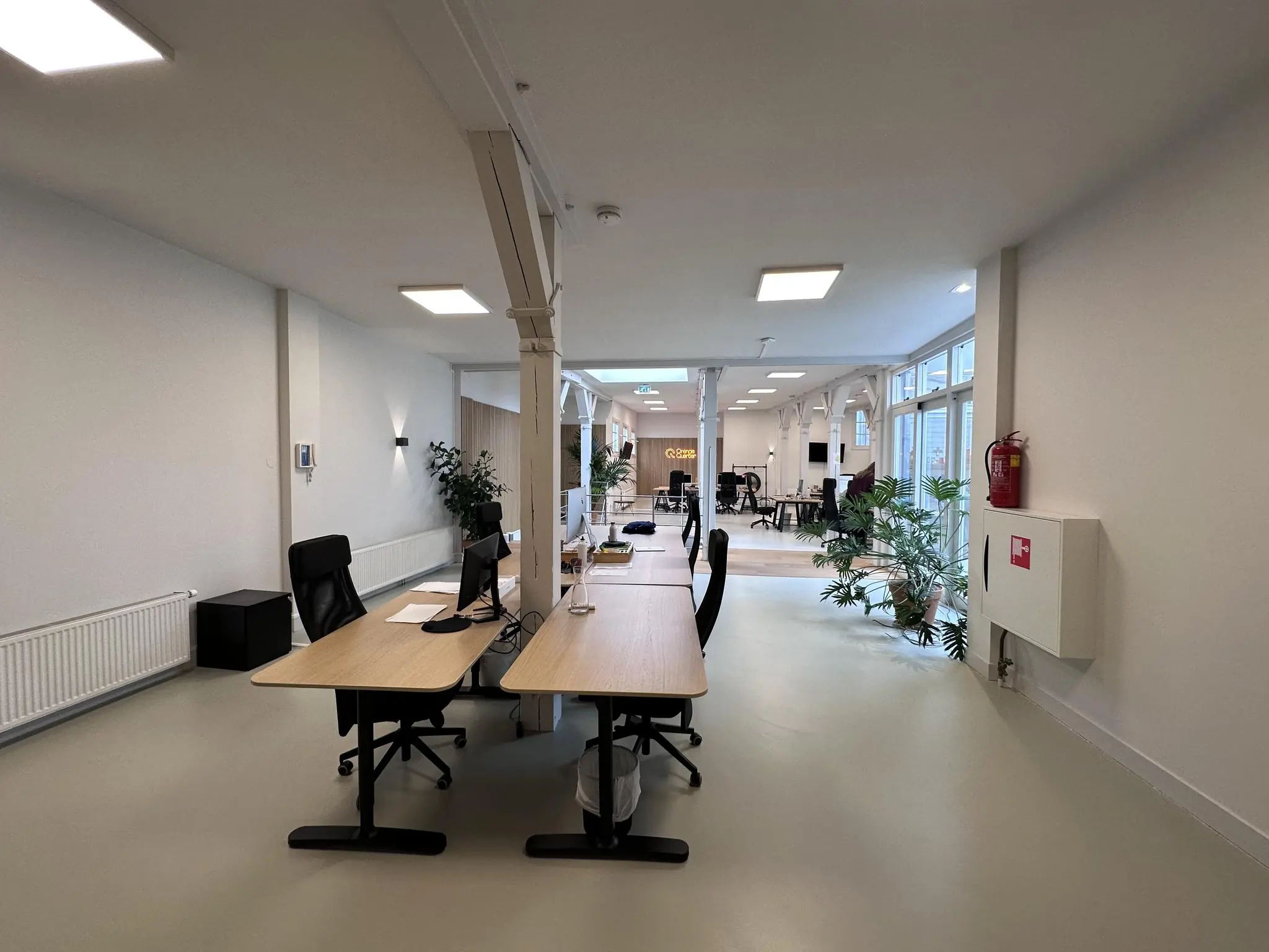 Moderne en lichte kantoorruimte aan de Bloemgracht met werkplekken, planten en glazen pui.