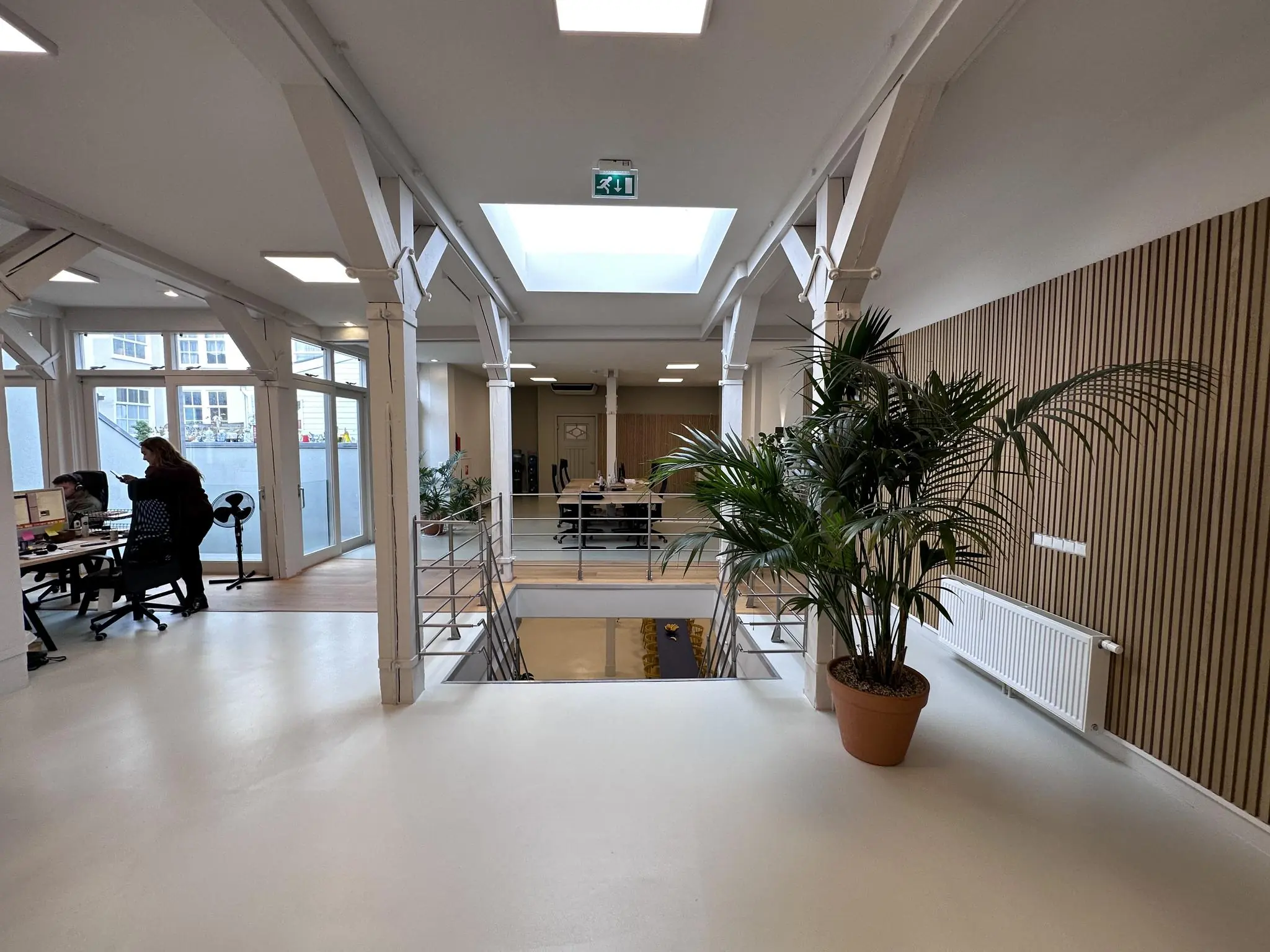 Modern kantoorinterieur aan de Bloemgracht met open werkplekken, planten en natuurlijke lichtinval.