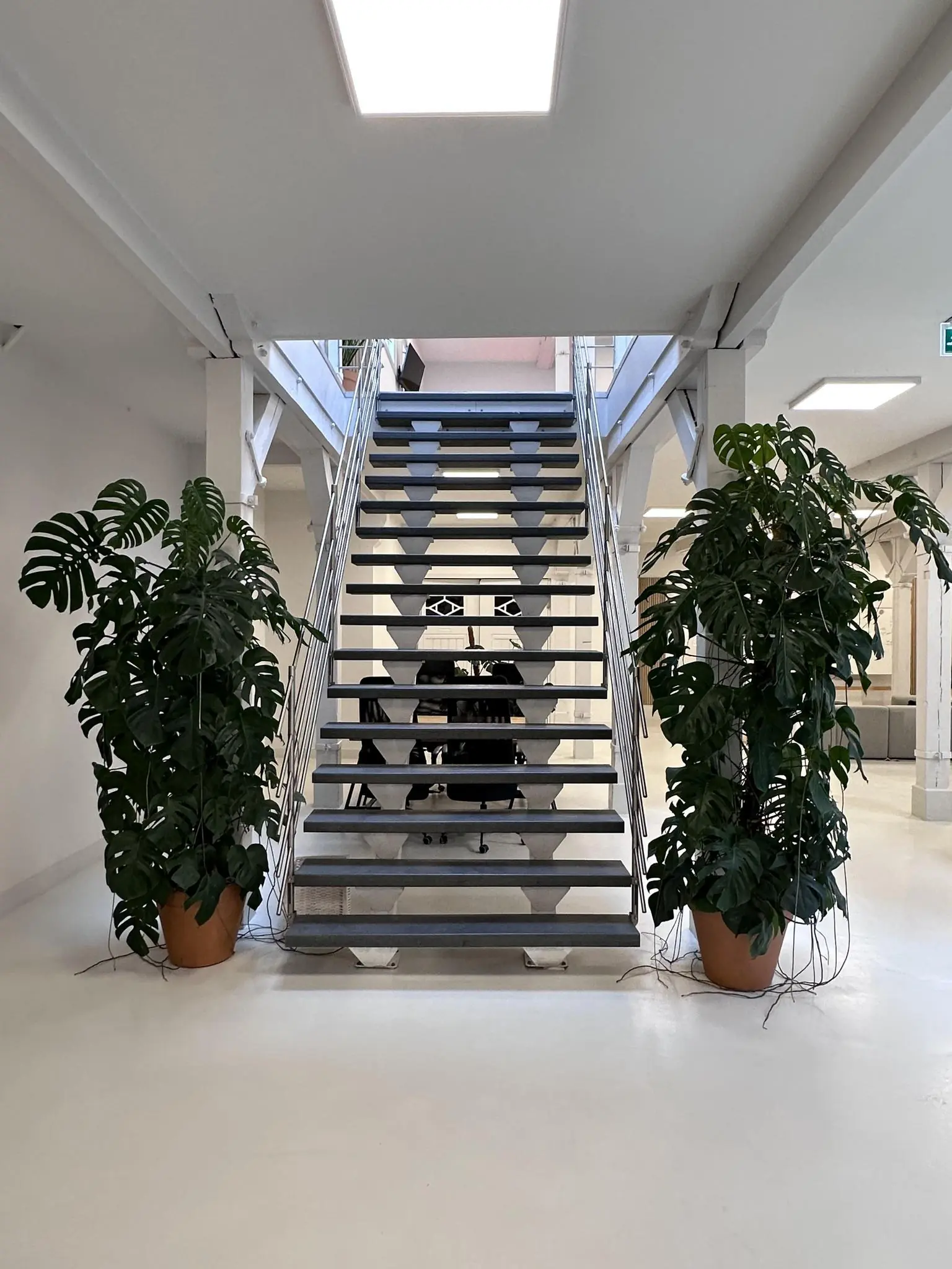 Trappenhuis met metalen trap in een modern, licht interieur aan de Bloemgracht, geflankeerd door twee grote kamerplanten.