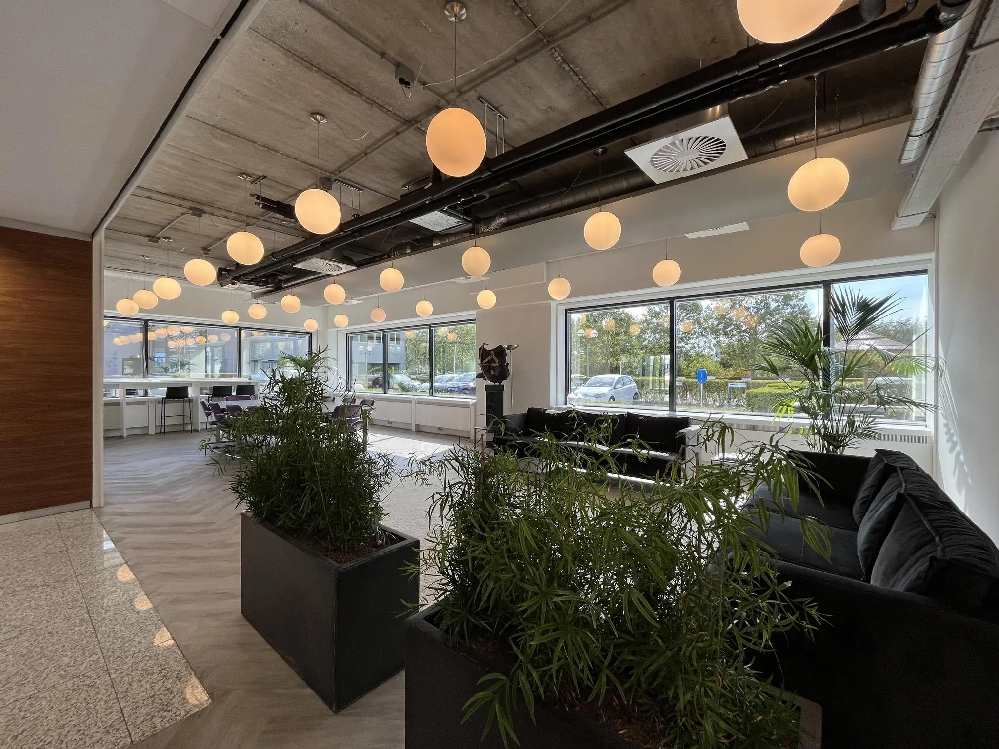 Modern ingerichte kantoorruimte aan de Savannahweg met grote ramen, hangende bolvormige lampen, zwarte banken en groene planten.