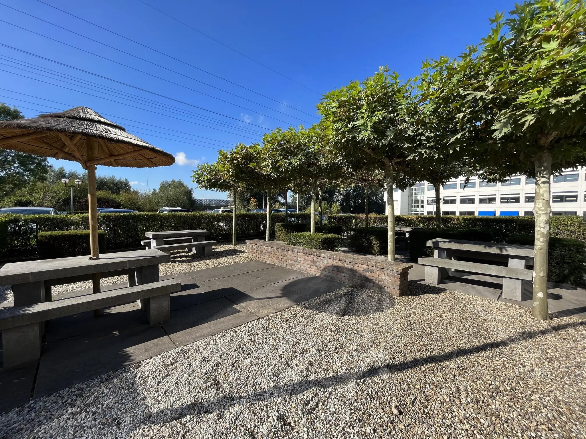 Buitenruimte met picknicktafels, bomen en rieten parasols aan de Savannahweg op een zonnige dag.