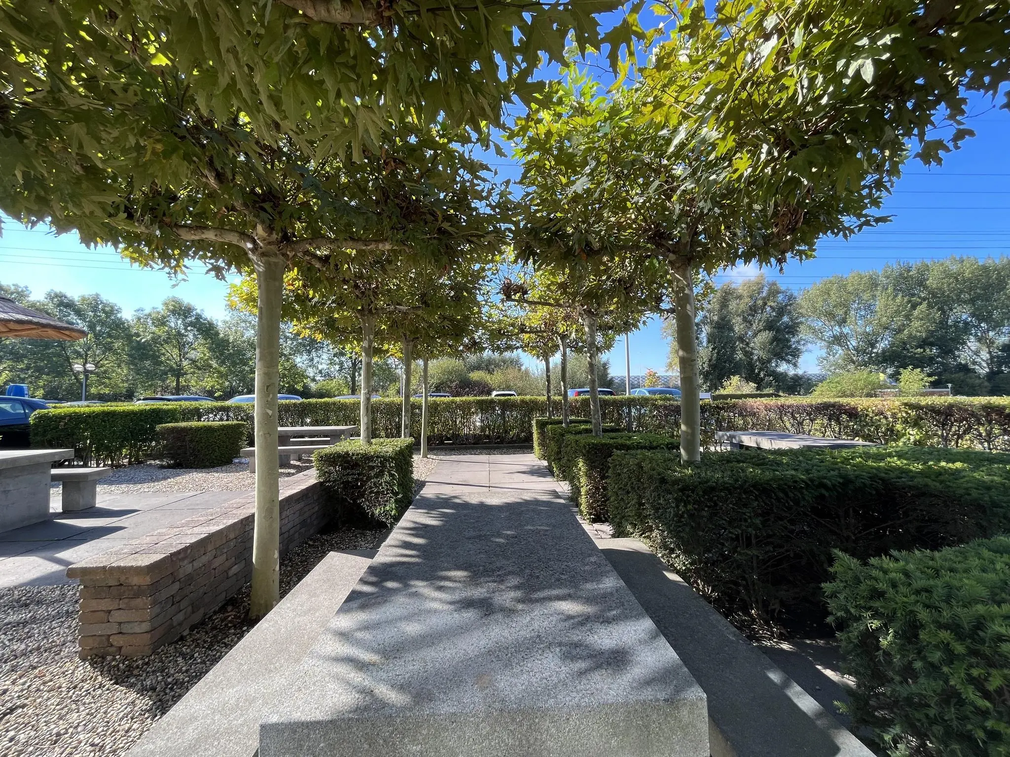 Bestrate zithoek met schaduwrijke bomen en groene hagen aan de Savannahweg op een zonnige dag.