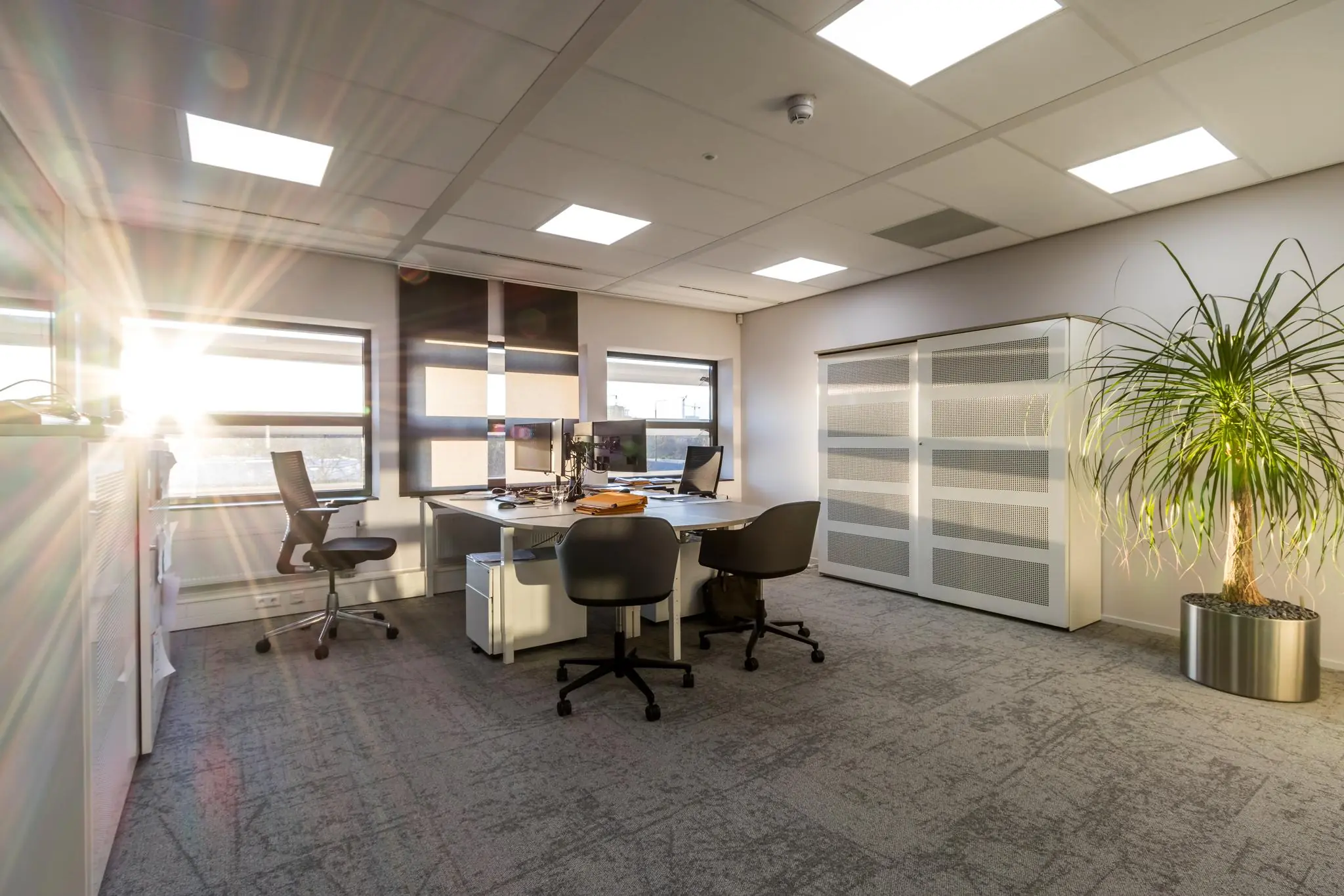 Zonnig kantoor aan de Marconibaan met moderne inrichting, bureaustoelen en een grote plant.