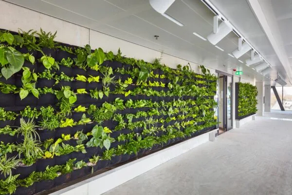 Groene plantenwand in een modern interieur aan de Joan Muyskenweg.