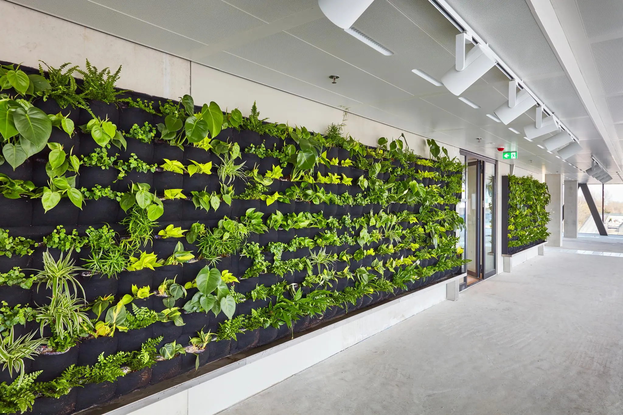 Groene plantenwand in een modern interieur aan de Joan Muyskenweg.