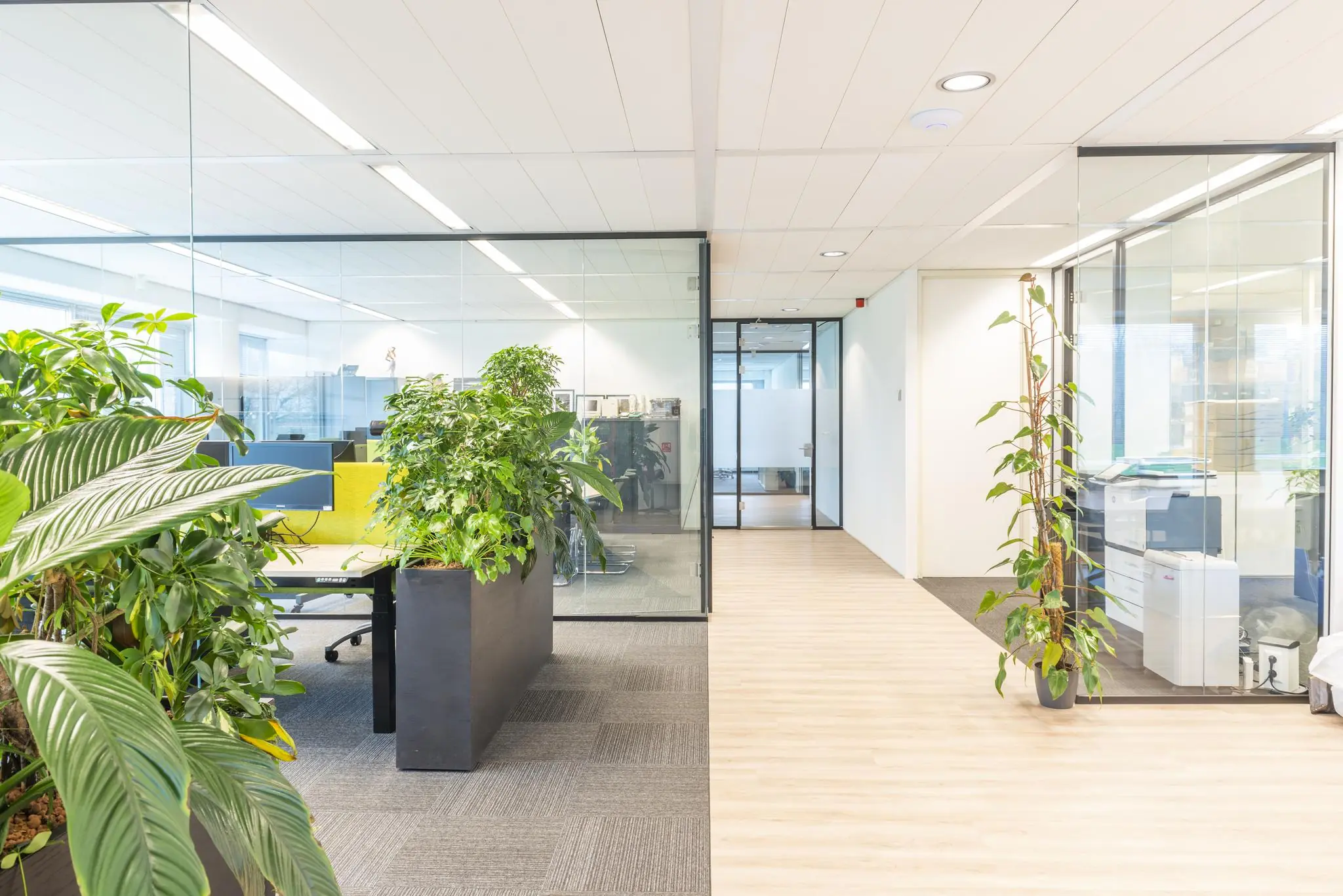 Moderne kantoorruimte aan de Tupolevlaan met glazen wanden, bureaus, veel groen en houten vloer.