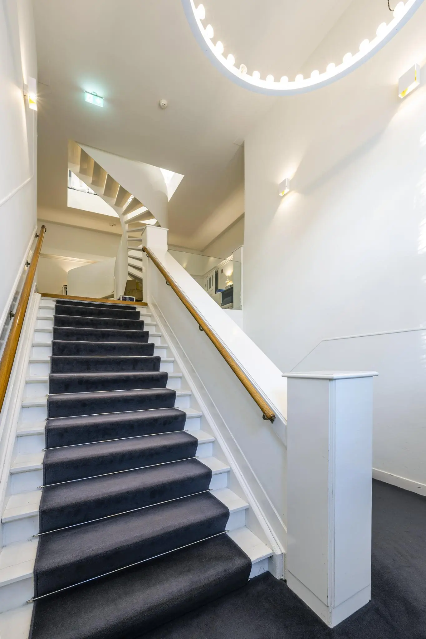 Moderne trap met donker tapijt en houten leuningen in een helder verlichte hal aan de Honthorststraat.