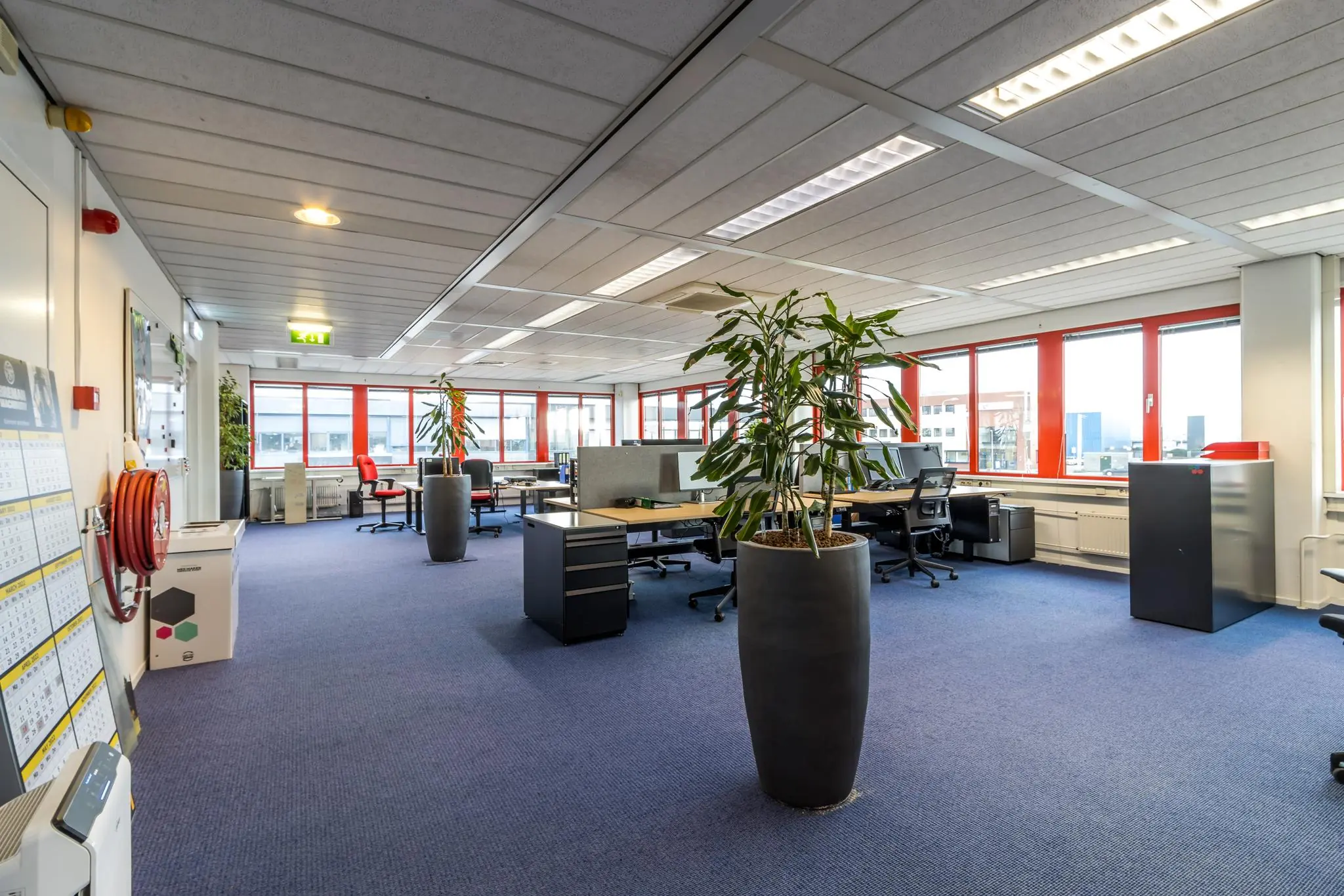 Ruim en licht kantoor aan de Savannahweg met bureaus, bureaustoelen, grote planten en rode raamkozijnen.