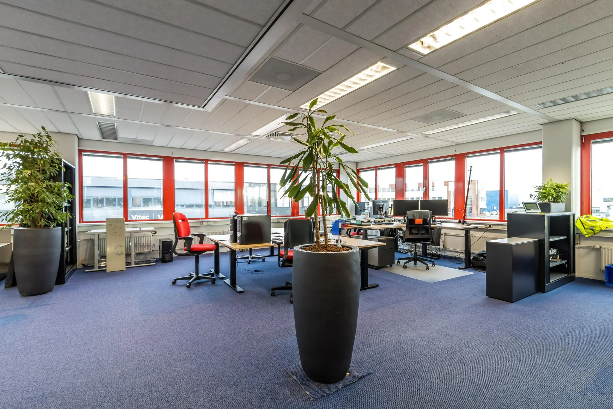 Ruim en licht kantoor aan de Savannahweg met bureaus, computers, bureaustoelen en grote planten.