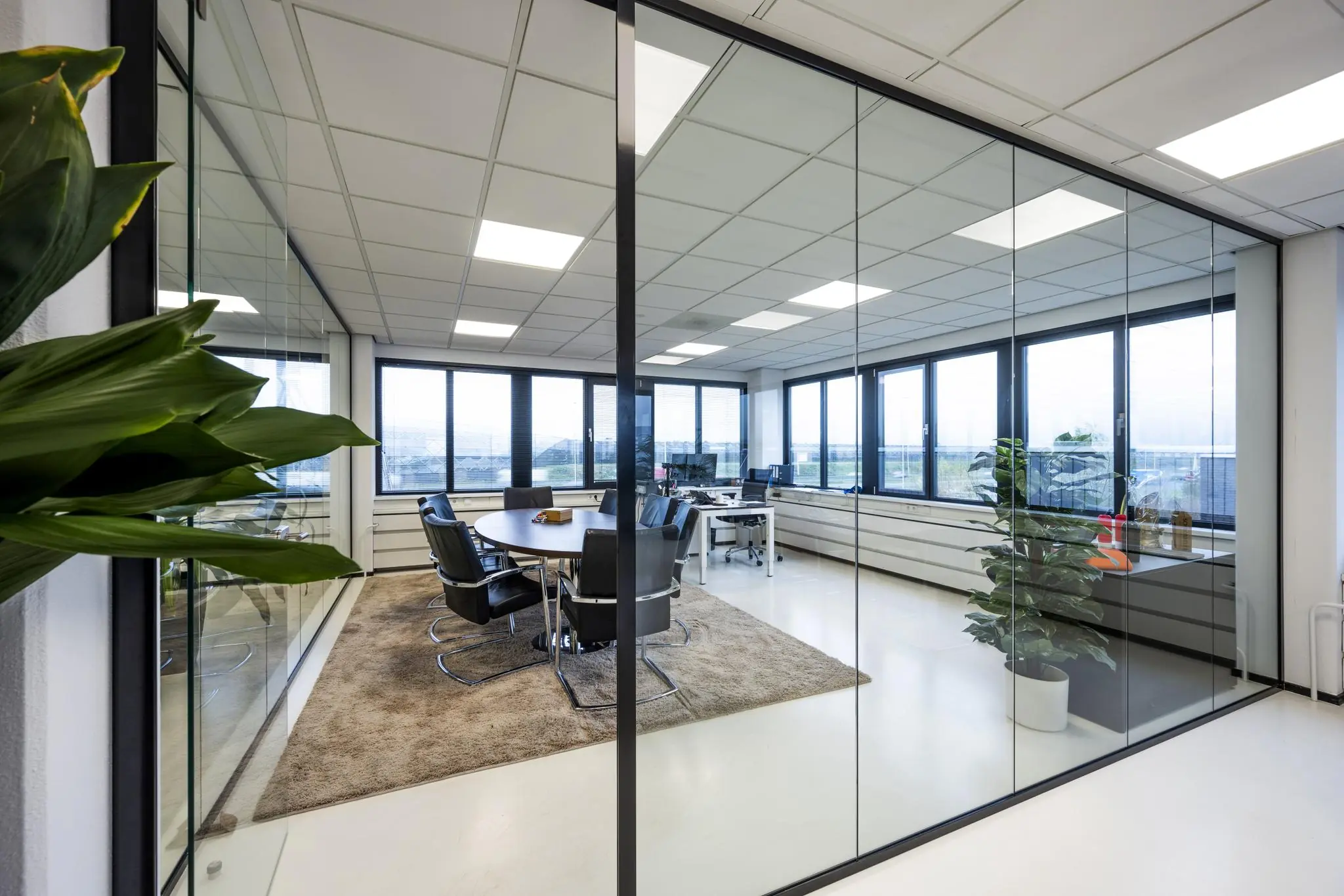 Moderne vergaderruimte aan de Savannahweg met glazen wanden, een ronde tafel, bureaus en grote ramen met uitzicht.