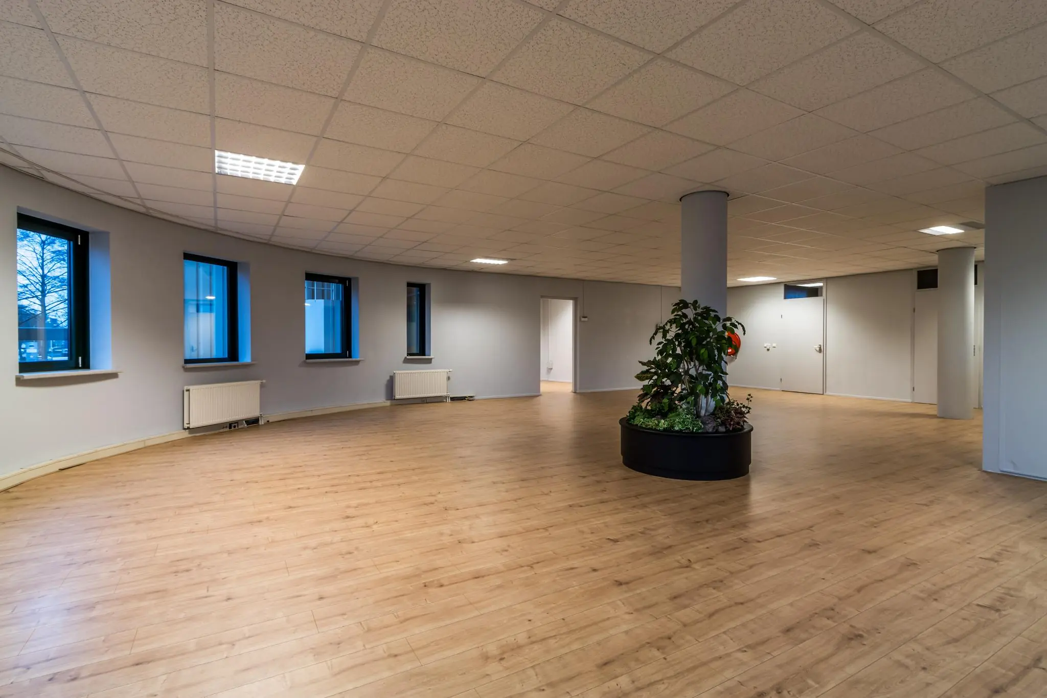 Ruime, lege kantoorruimte aan de Koningsweg met houten vloer, systeemplafond en een ronde plantenbak rond een kolom.