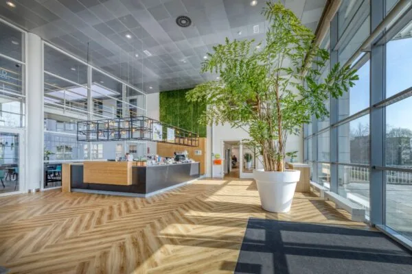 Moderne en lichte bedrijfsentree met een koffiebar, grote kamerplant in een witte pot en hoge ramen aan de Spicalaan.