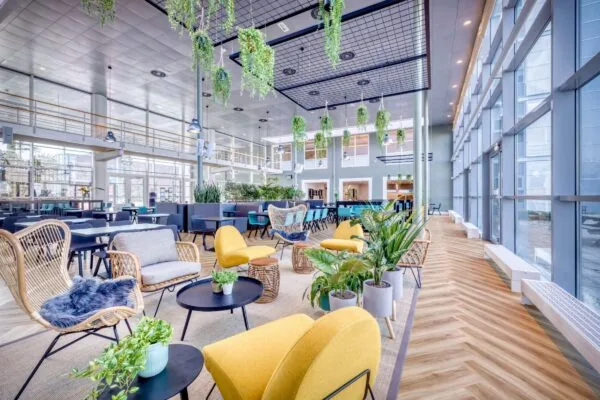 Moderne en sfeervolle loungeruimte aan de Spicalaan met veel daglicht, kleurrijke stoelen, planten en een open, groene inrichting.