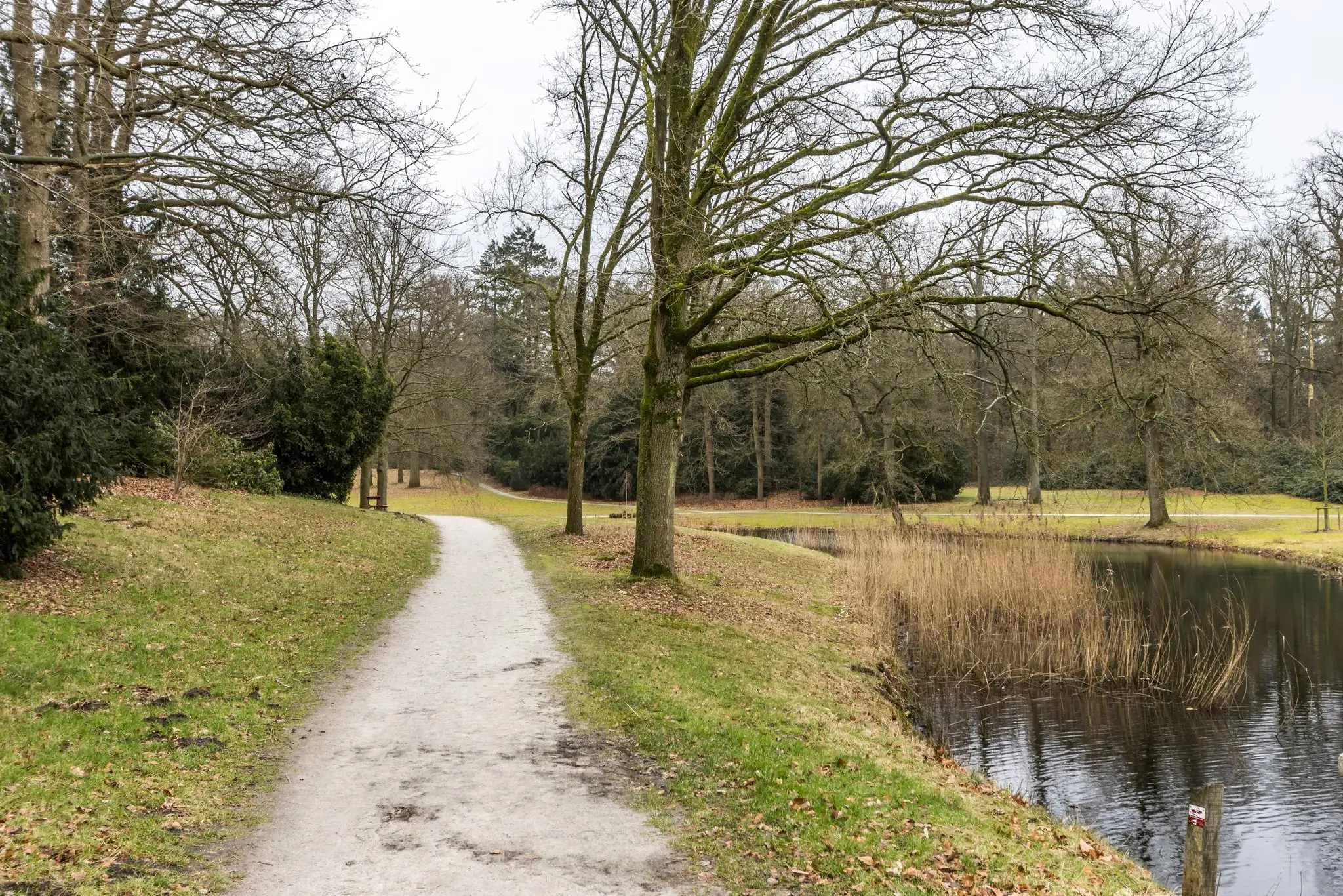 Wandelpad langs een vijver met kale bomen bij de Driebergseweg in een bosrijke omgeving.